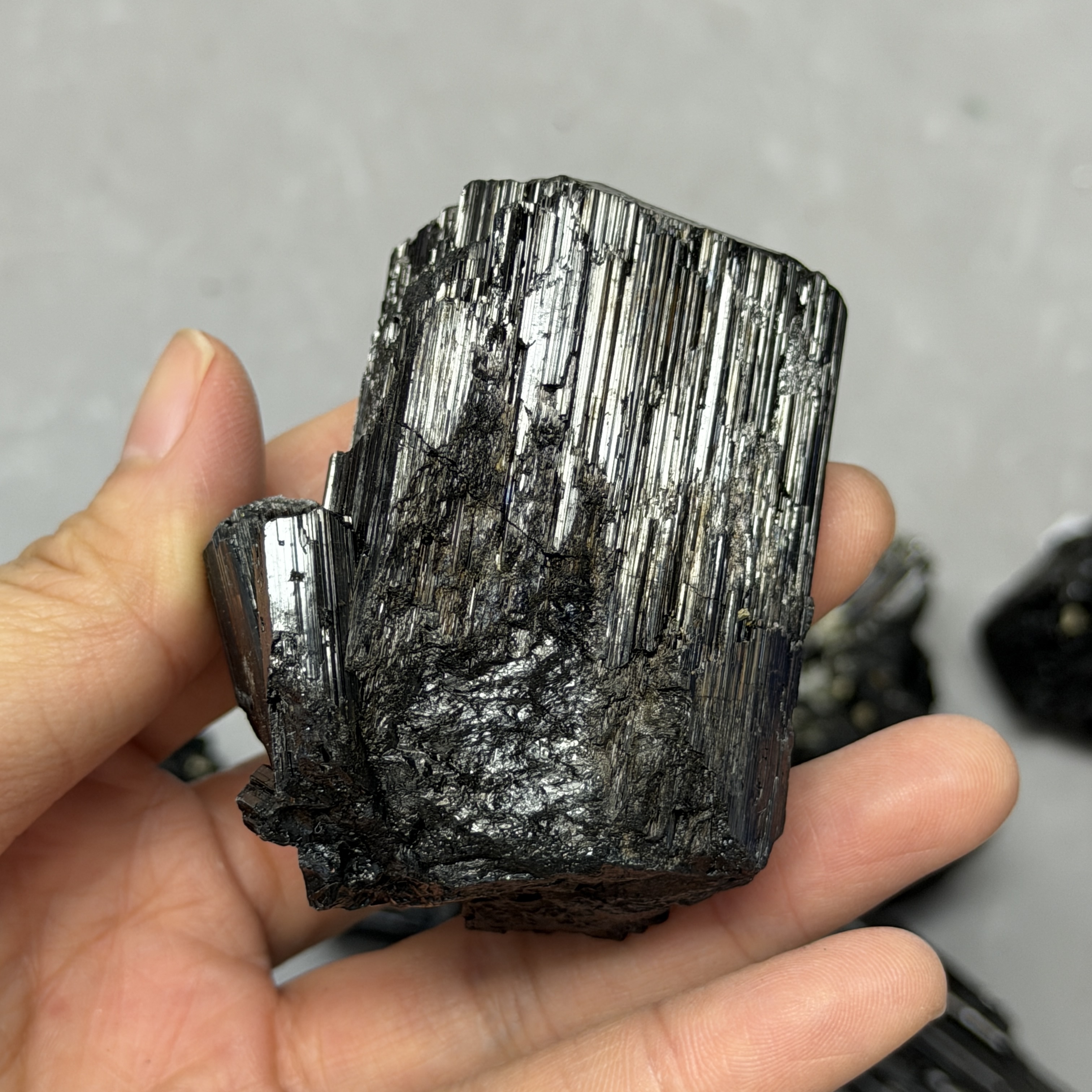 收藏品黑碧璽/電氣石礦標 TRR1829