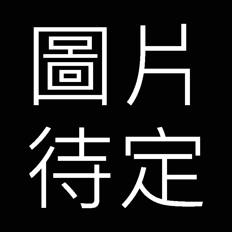 A9a G621027107 - 啡色