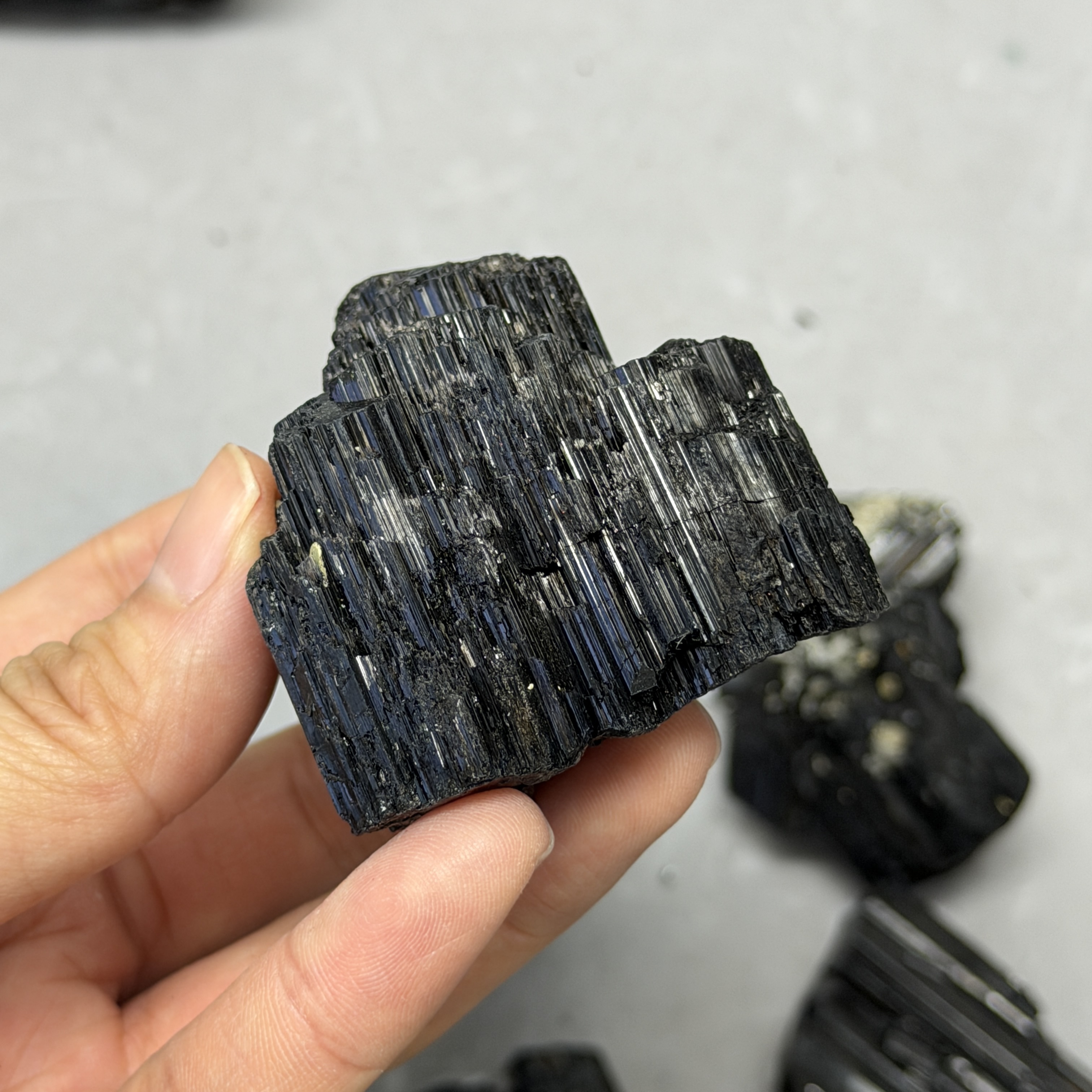 收藏品黑碧璽/電氣石礦標 TRR1828