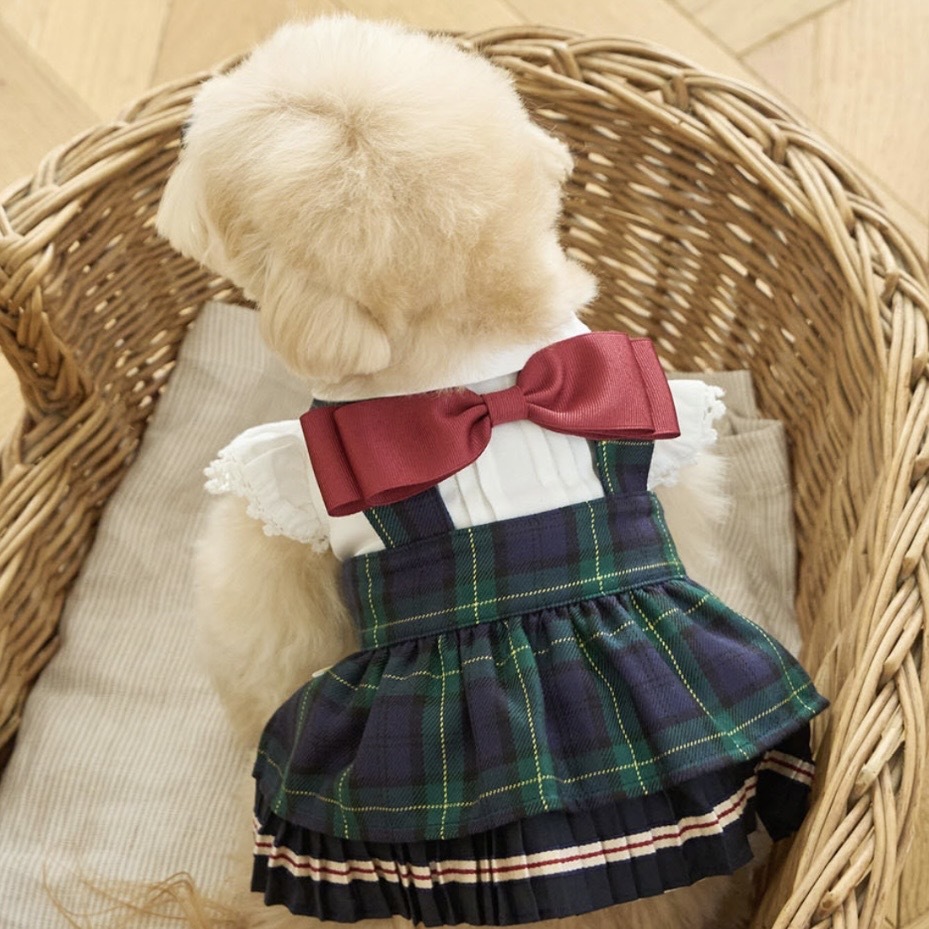 Back Ribbon OPS 經典學院蝴蝶結洋裝（Navy ）It’s sunny outside