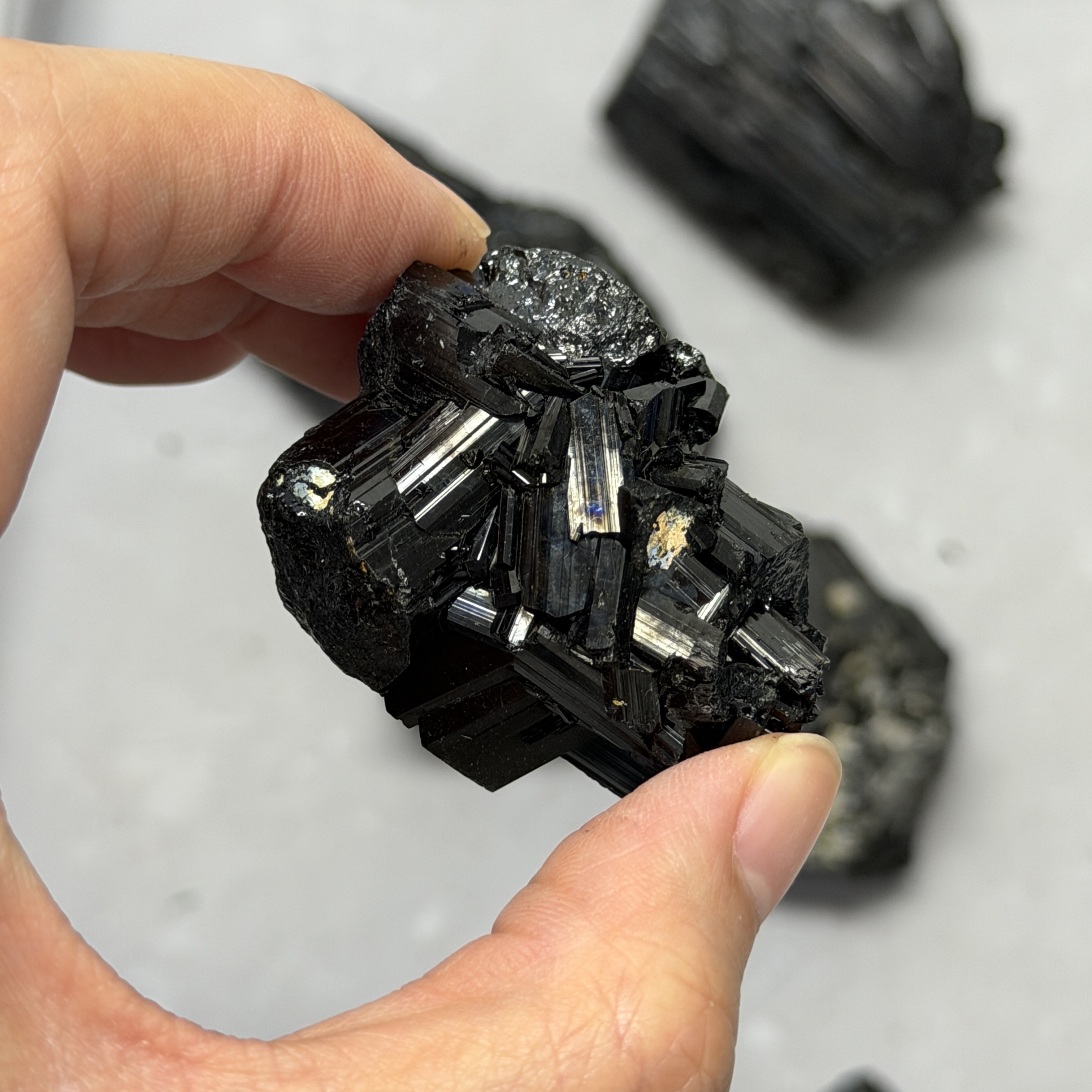 收藏品黑碧璽/電氣石礦標 TRR1824