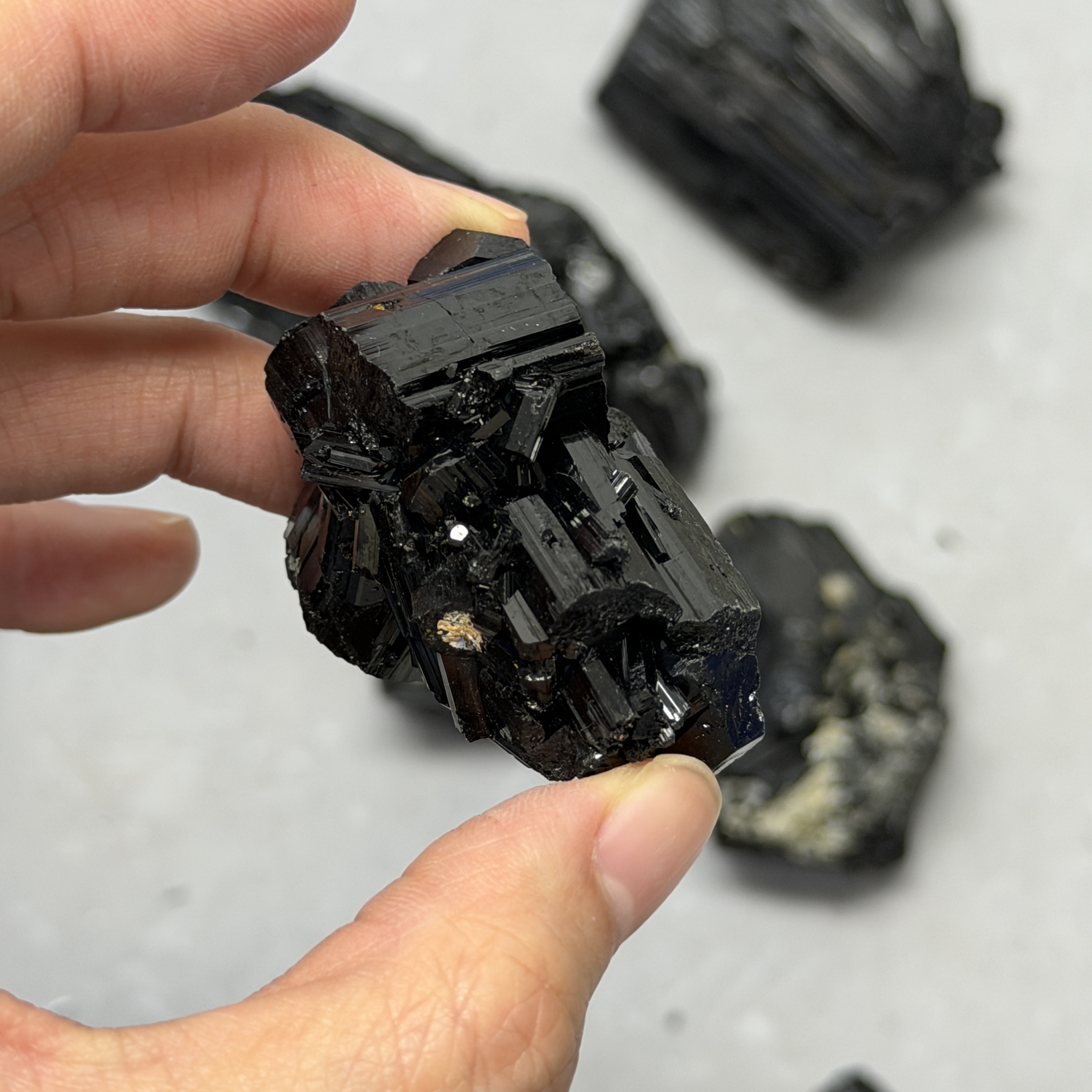 收藏品黑碧璽/電氣石礦標 TRR1824