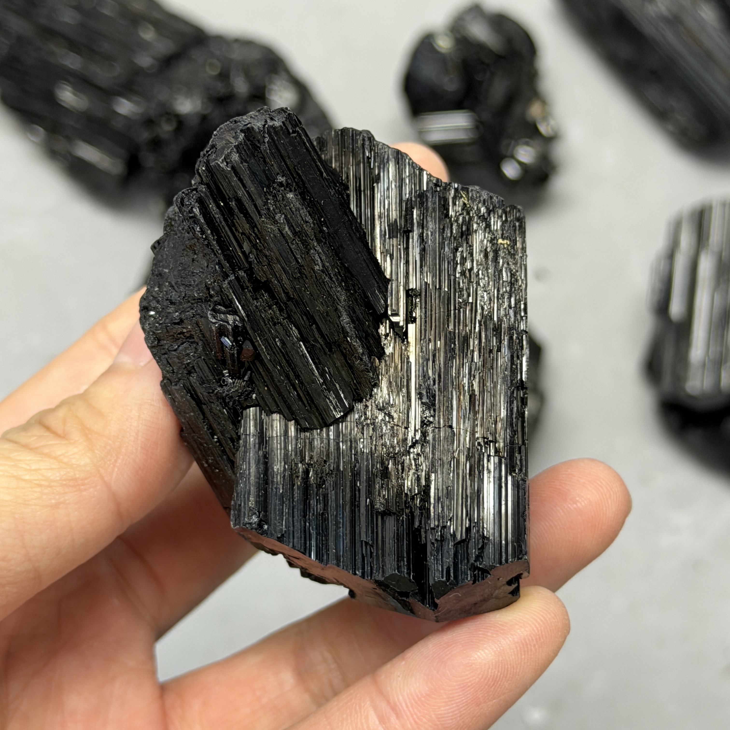 收藏品黑碧璽/電氣石礦標 TRR1822