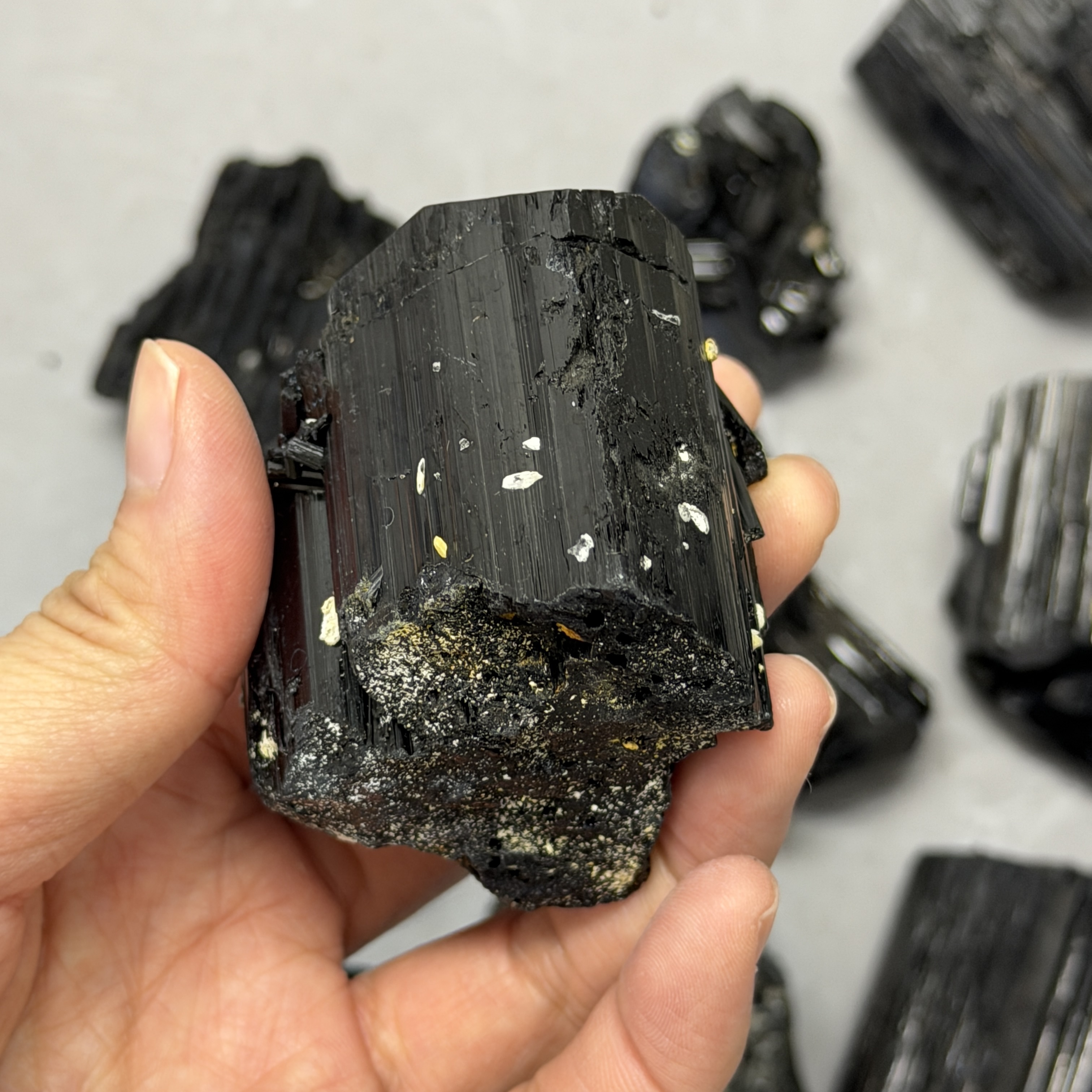 收藏品黑碧璽/電氣石礦標 TRR1819