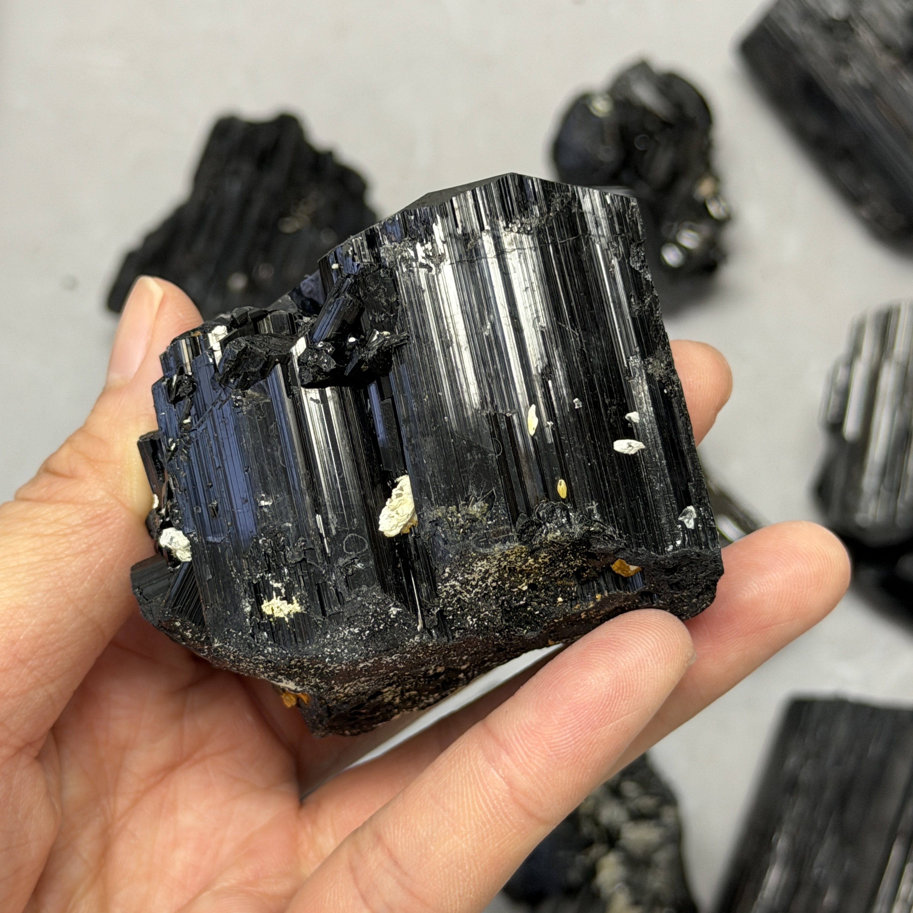 收藏品黑碧璽/電氣石礦標 TRR1819