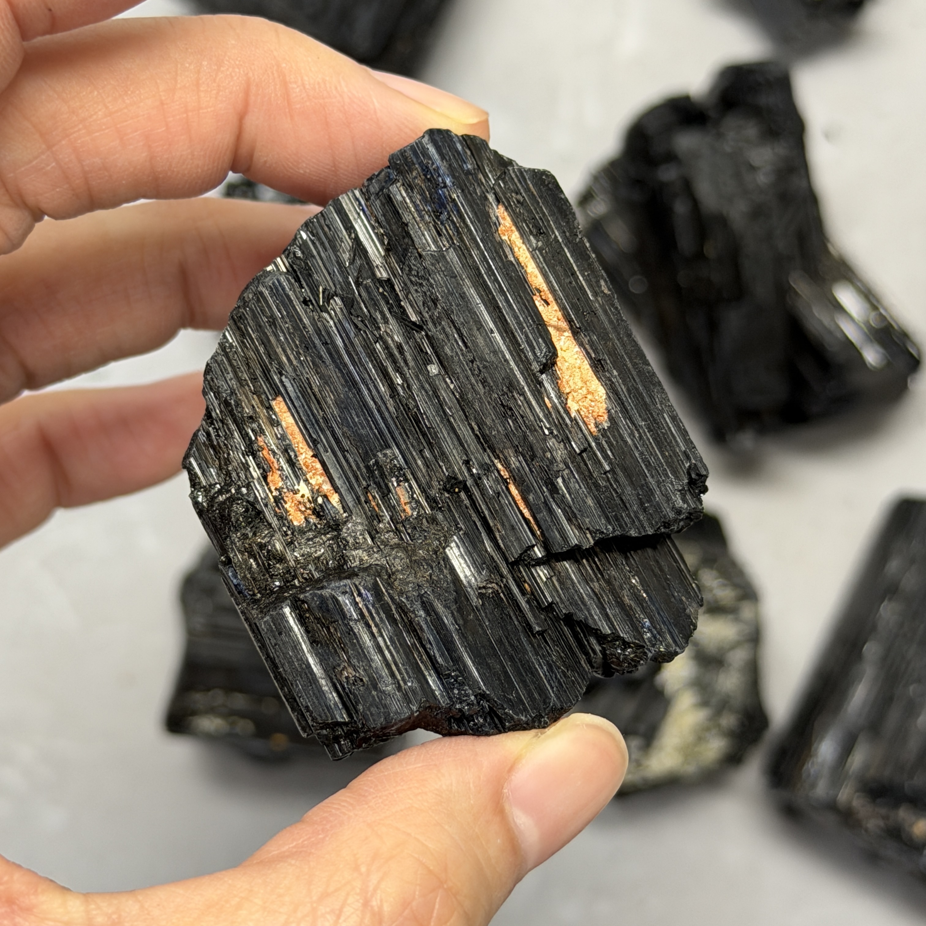 收藏品黑碧璽/電氣石礦標 TRR1818