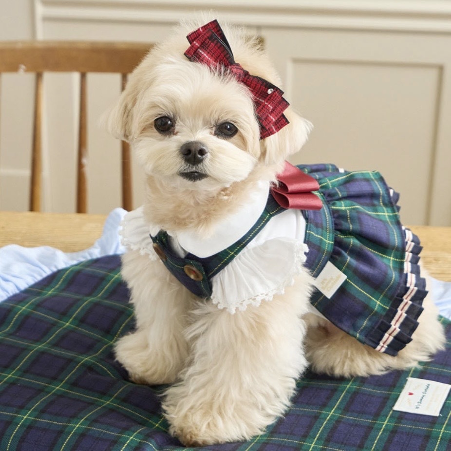 Hairpin (Preppy) Check學院風-配件 髮夾 髮飾 髮夾 -紅格紋-It’s sunny outside