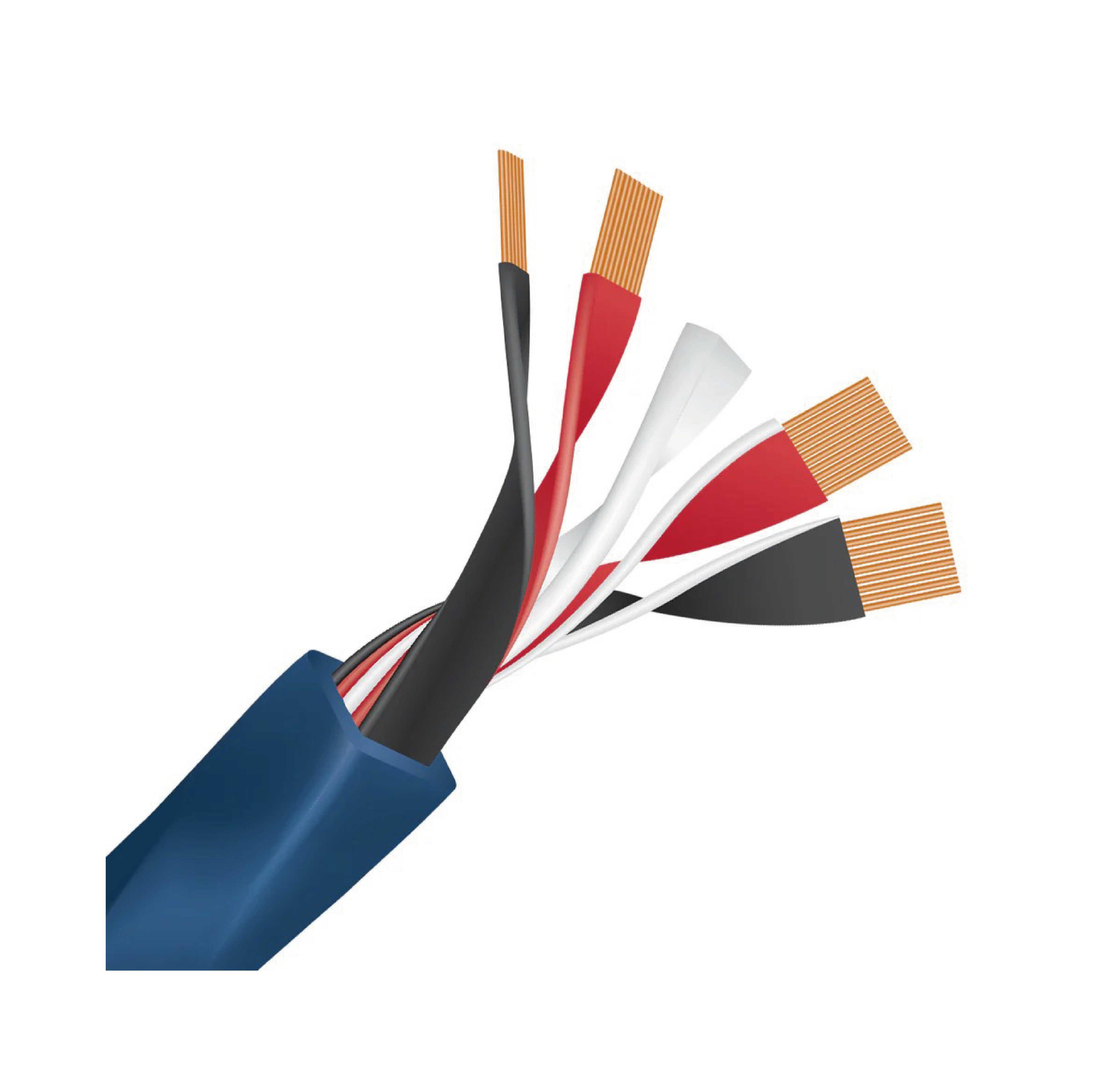 WireWorld Oasis® 10 Speaker Cable – Bulk Per Meter/Foot