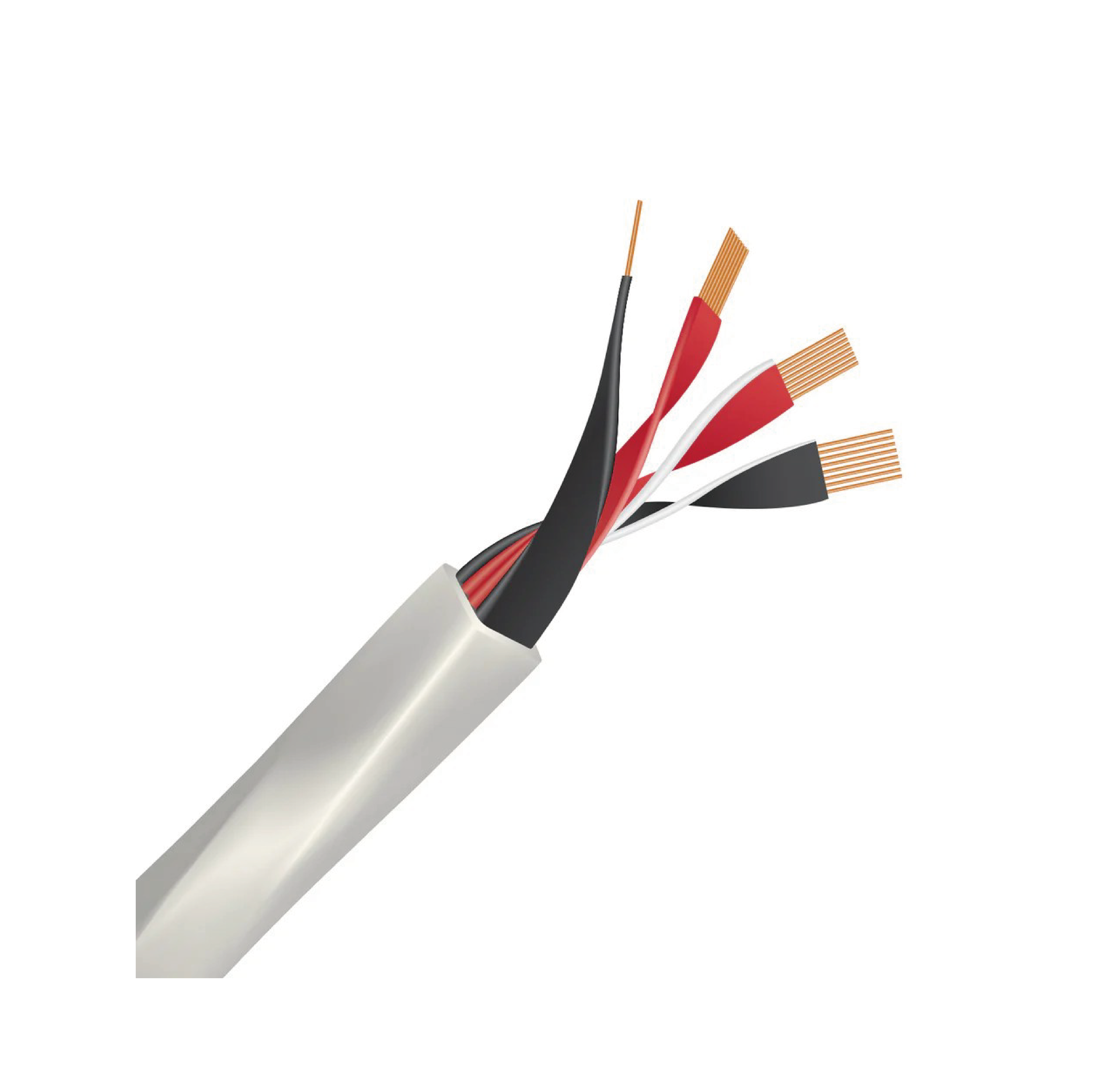 WireWorld Luna™ 10 Speaker Cable – Bulk Per Meter/Foot