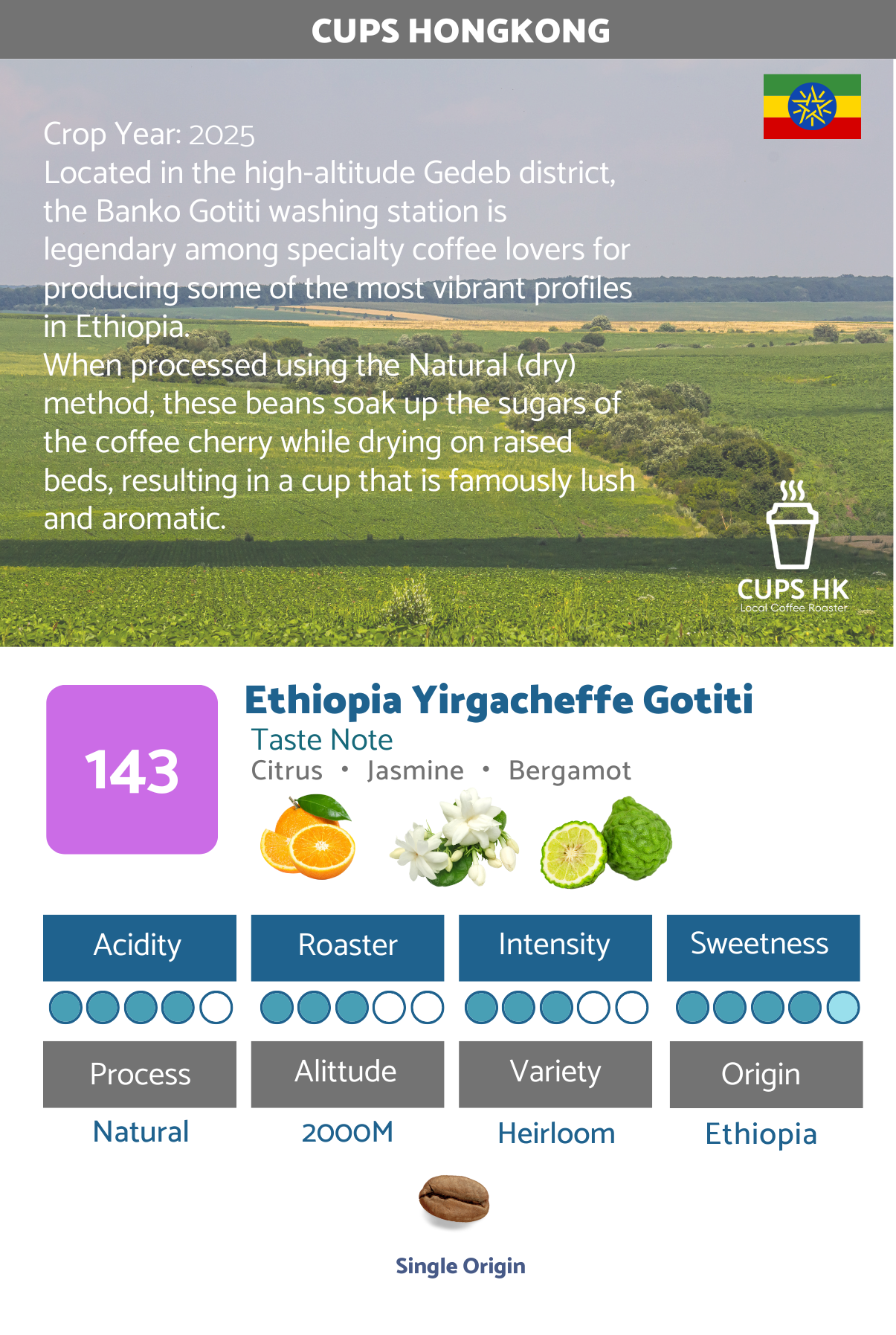 143 : Ethiopia Yirgacheffe Gotiti ．依索比亞耶加雪菲精選咖啡豆