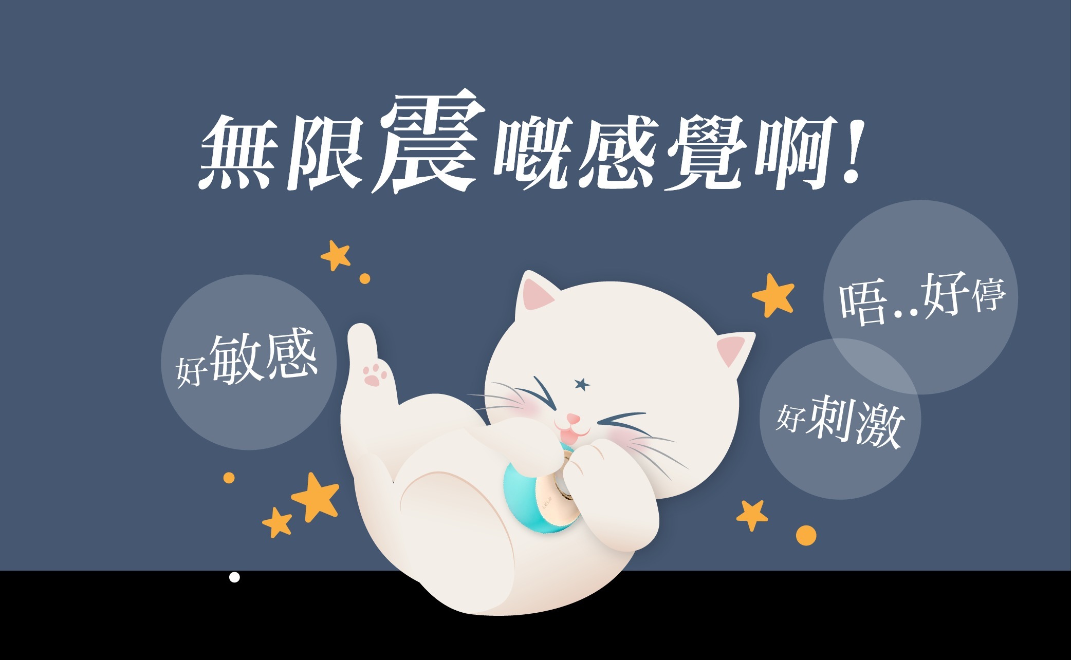 一隻貓拿著不同的震蛋