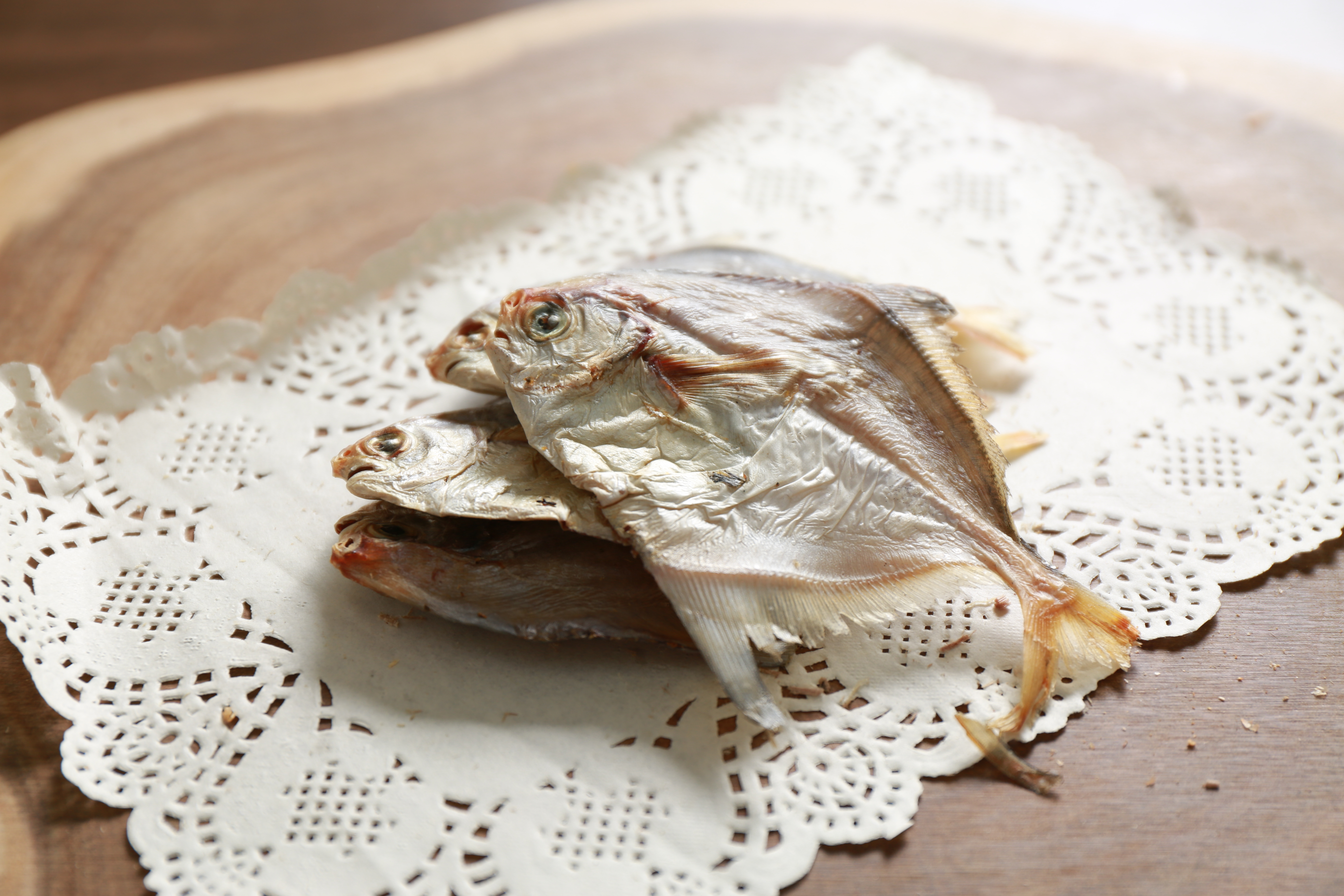 台灣小倉魚 ✔貓✔狗