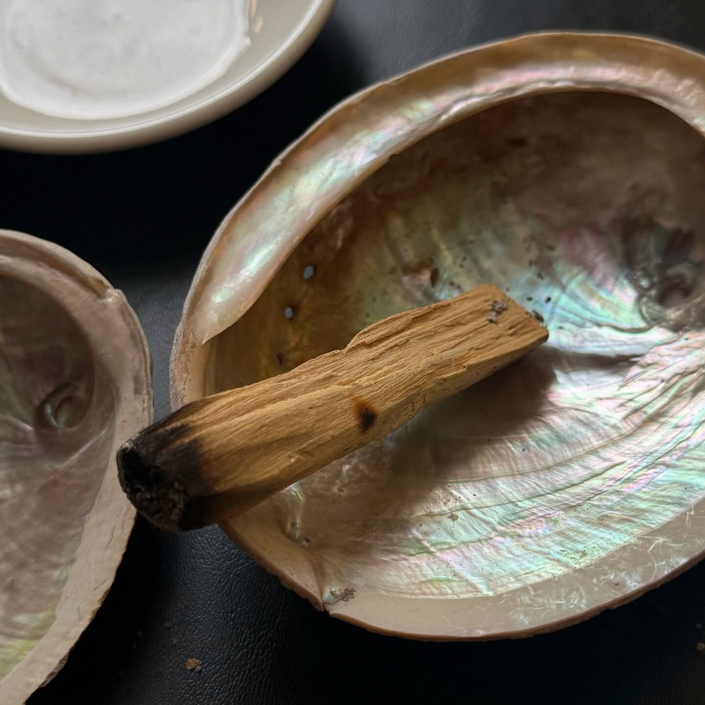 [原石] 鮑魚貝 適合燃燒聖木、鼠尾草