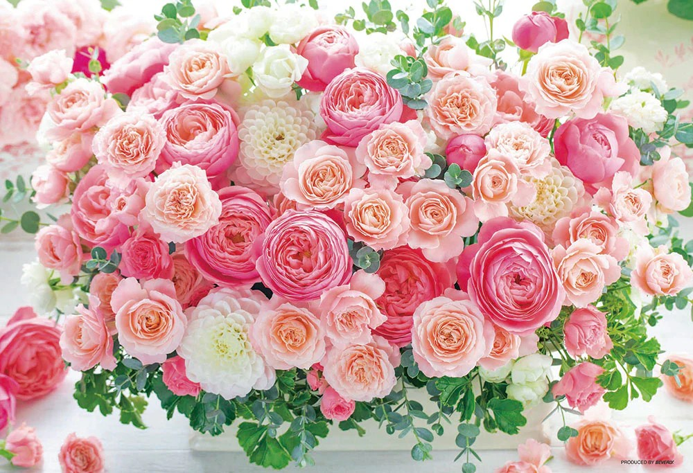 時目 平樂 玫瑰粉 (世界最小)