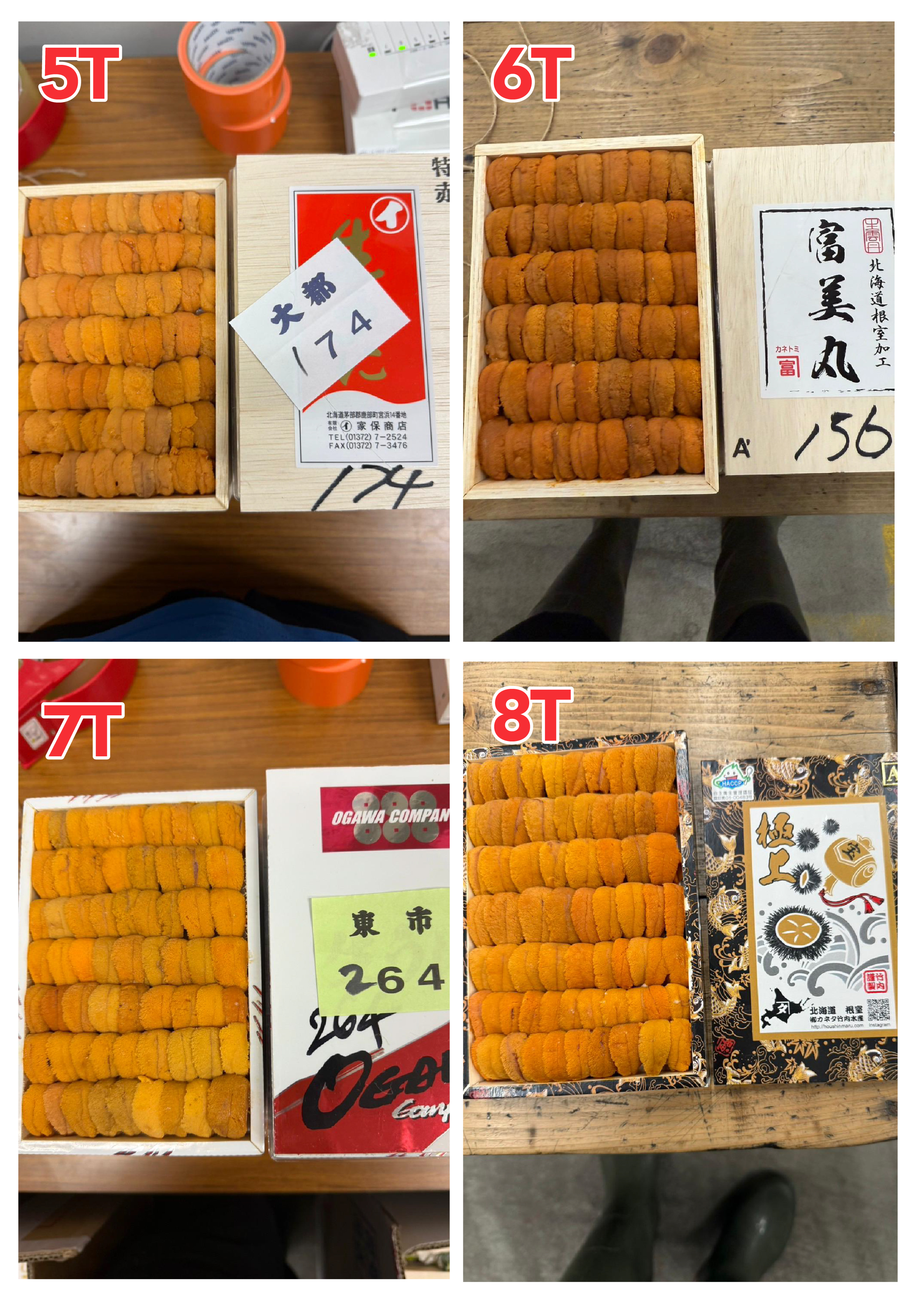 【指定海膽推薦】每天更新 (限即日落單, 翌日送)