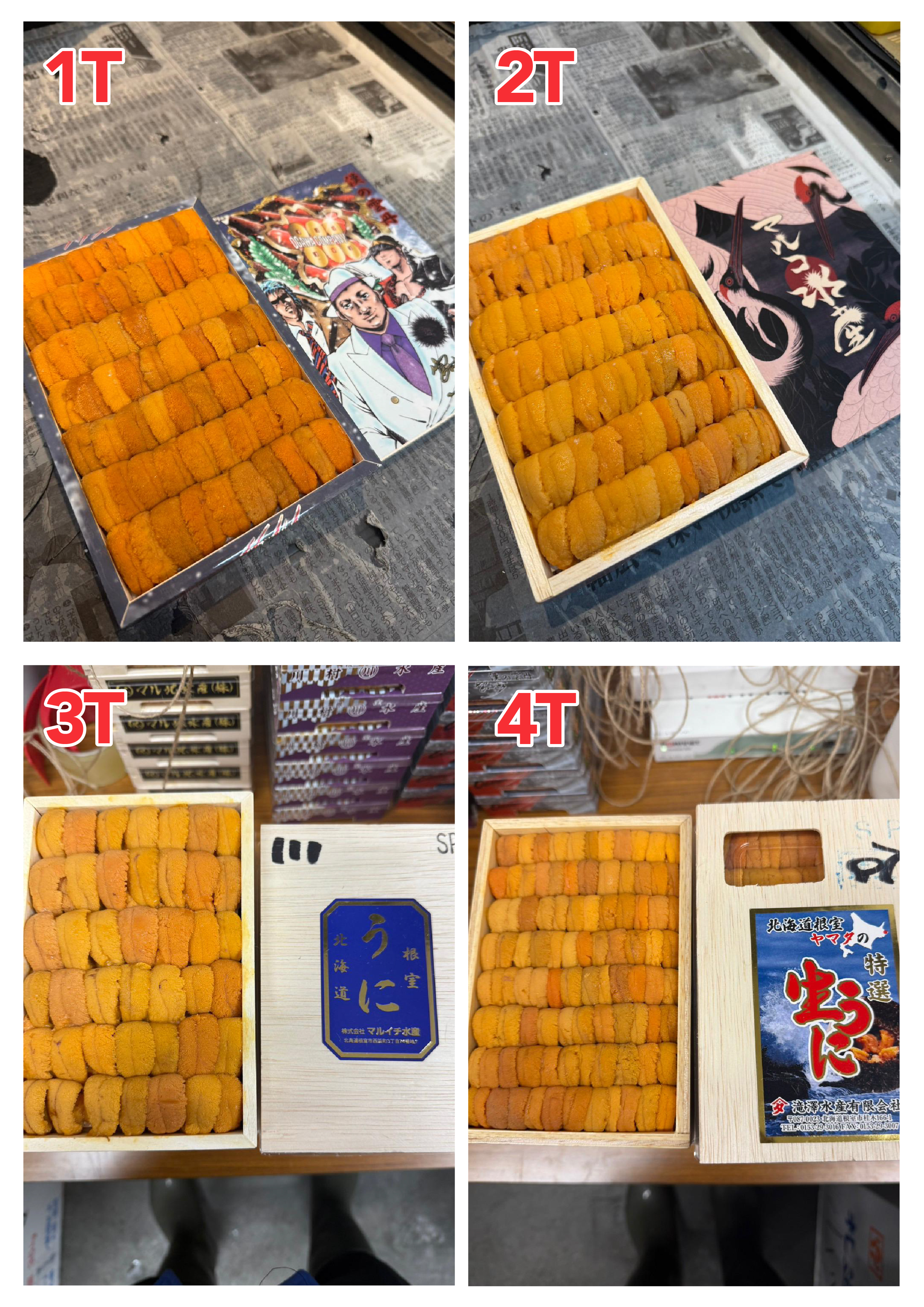 【指定海膽推薦】每天更新 (限即日落單, 翌日送)