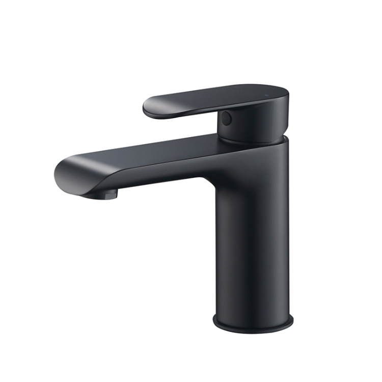 Vizio Basin Mixer (Matt Black)(VZ400102MB)