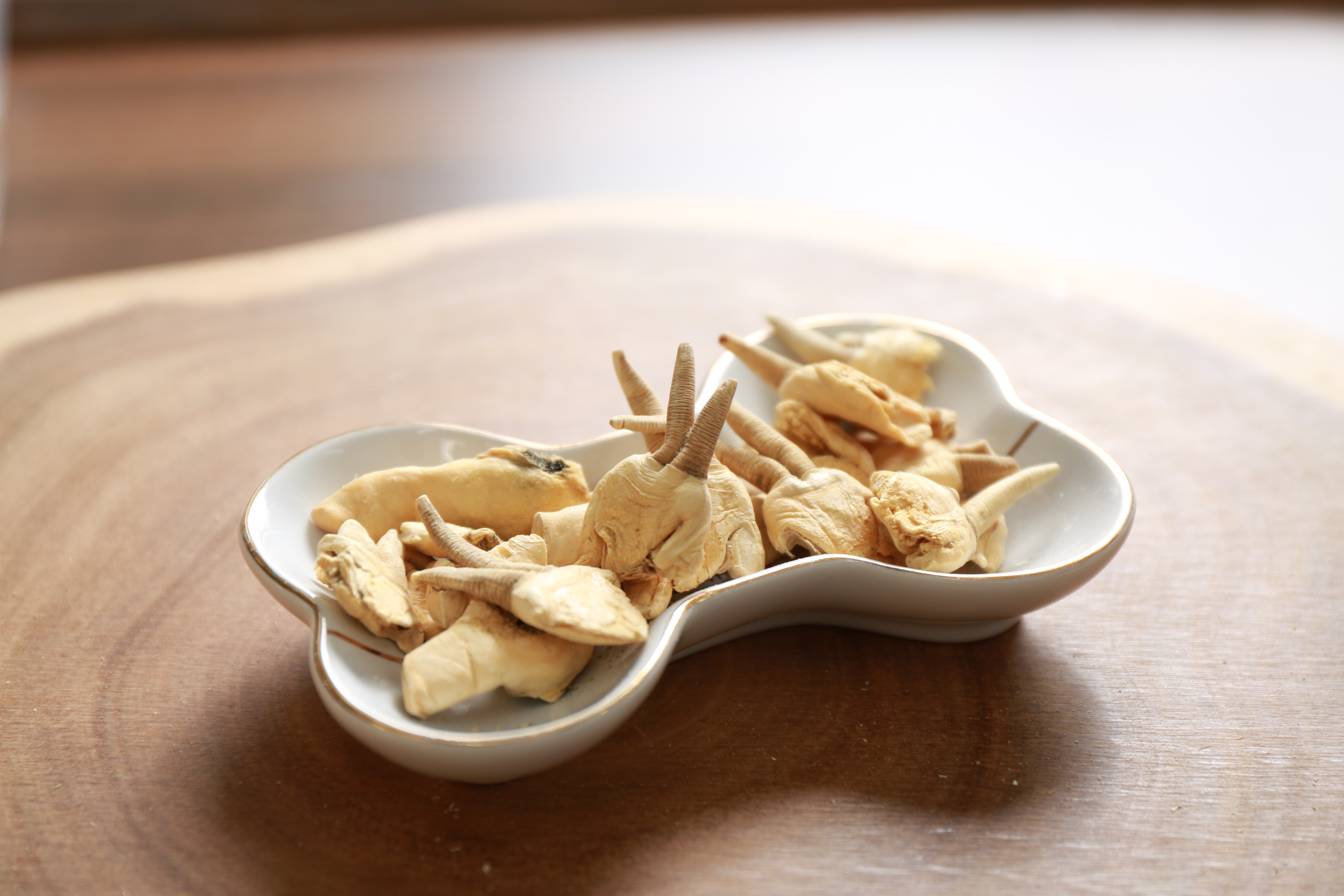 台灣小蟶子 ✔貓✔狗