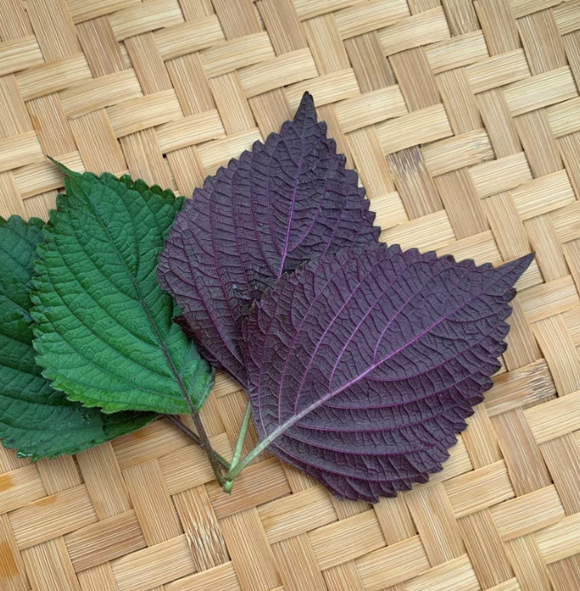 LoCoFARMS 本地種植｜紫蘇薑茶手工茶包