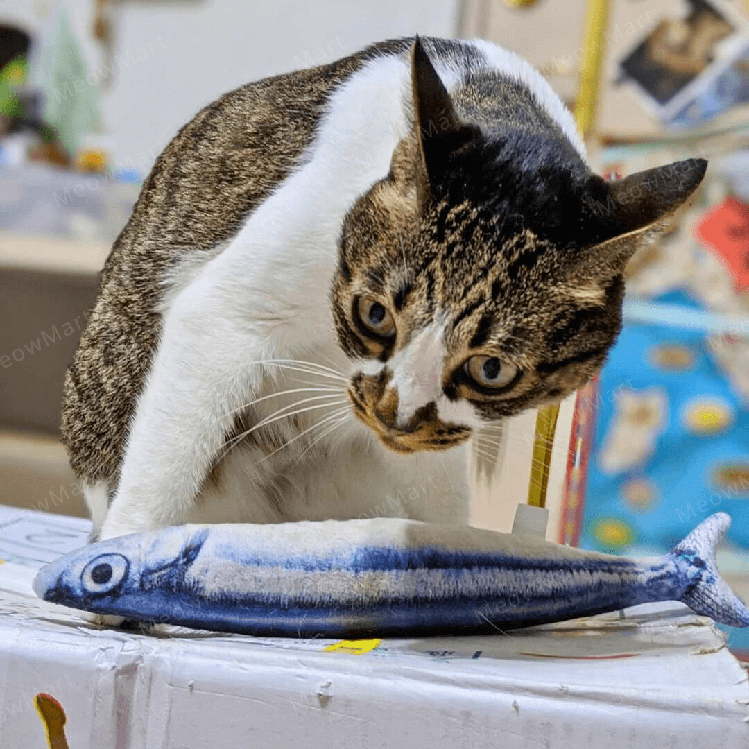 catwant 貓咪旺農場 秋刀魚