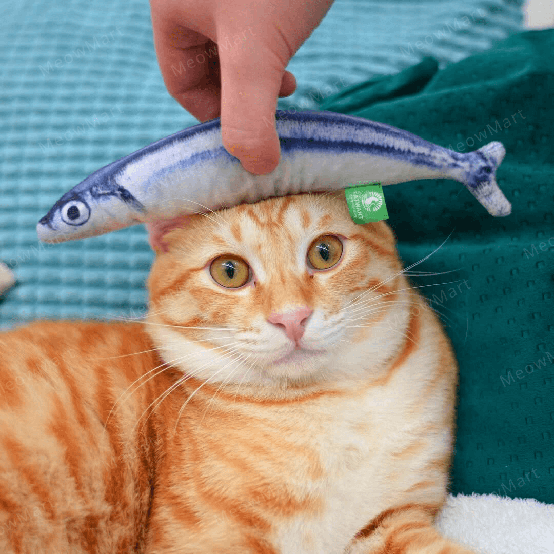 catwant 貓咪旺農場 秋刀魚