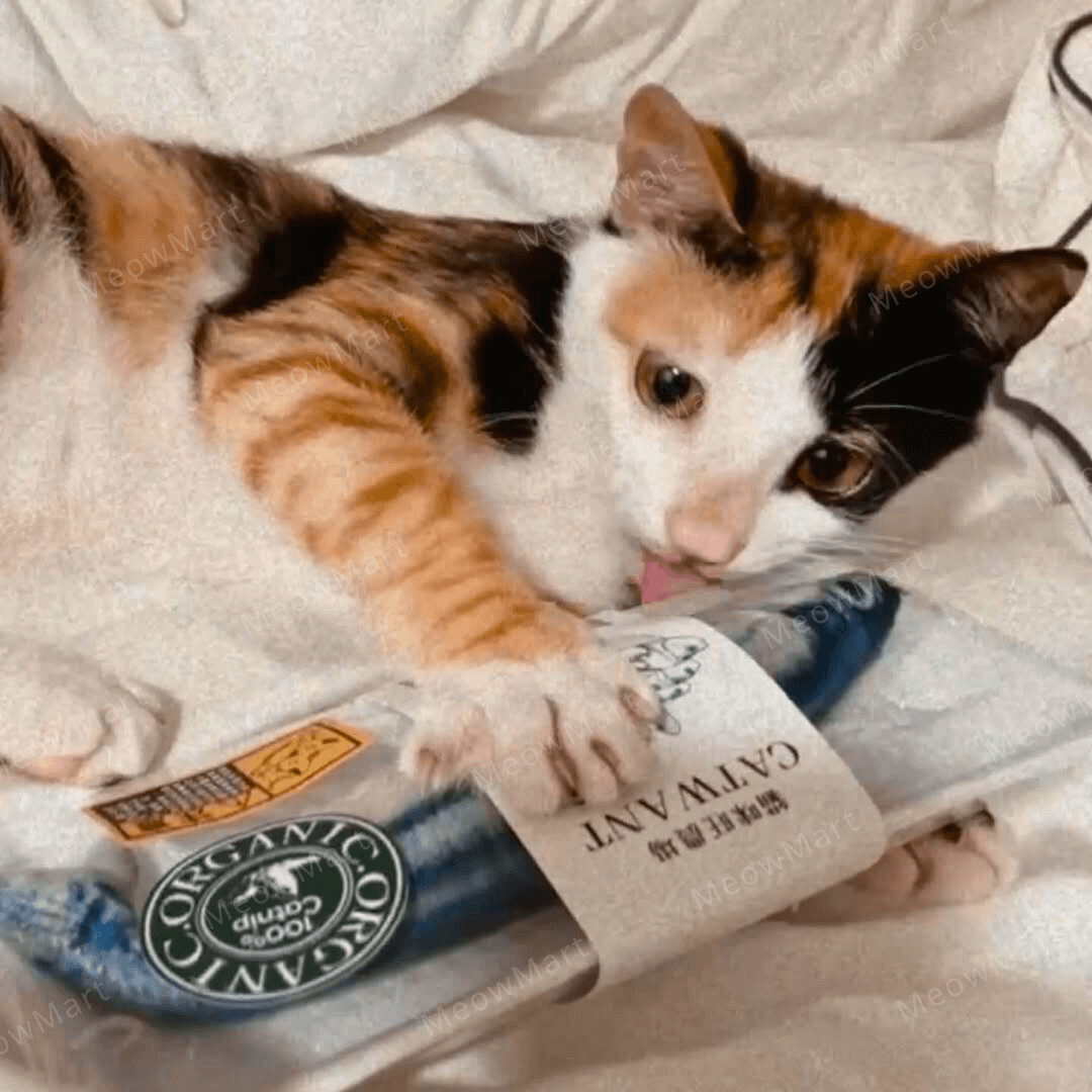 catwant 貓咪旺農場 秋刀魚