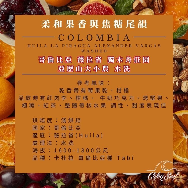 哥倫比亞 薇拉省 獨木舟莊園 Alexander 水洗｜咖啡豆 227g