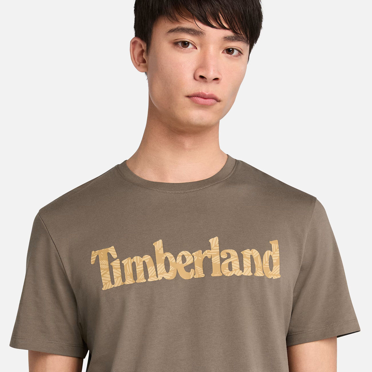 [S] TIMBERLAND BROWN MENS NORTHWOOD LOGO SHORT SLEEVE TSHIRT, TB0A5YNK-P56 (SZZ1018)