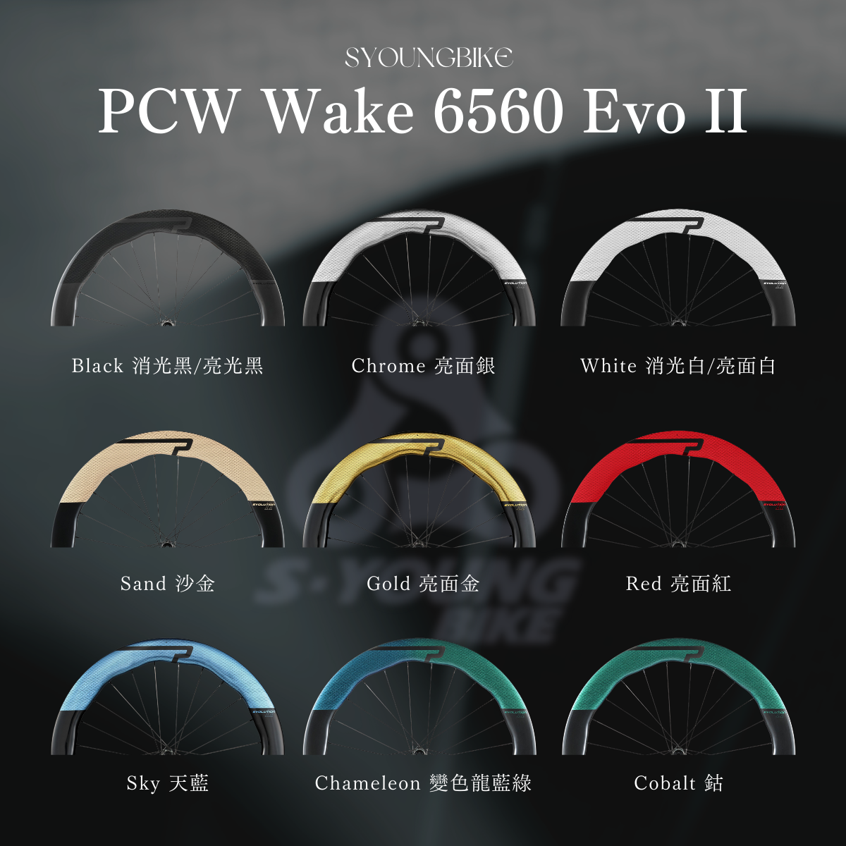 新款【PRINCETON】WAKE 6560 EVO II  波浪輕量碳纖維輪組 / 多款顏色（官網私訊優惠）