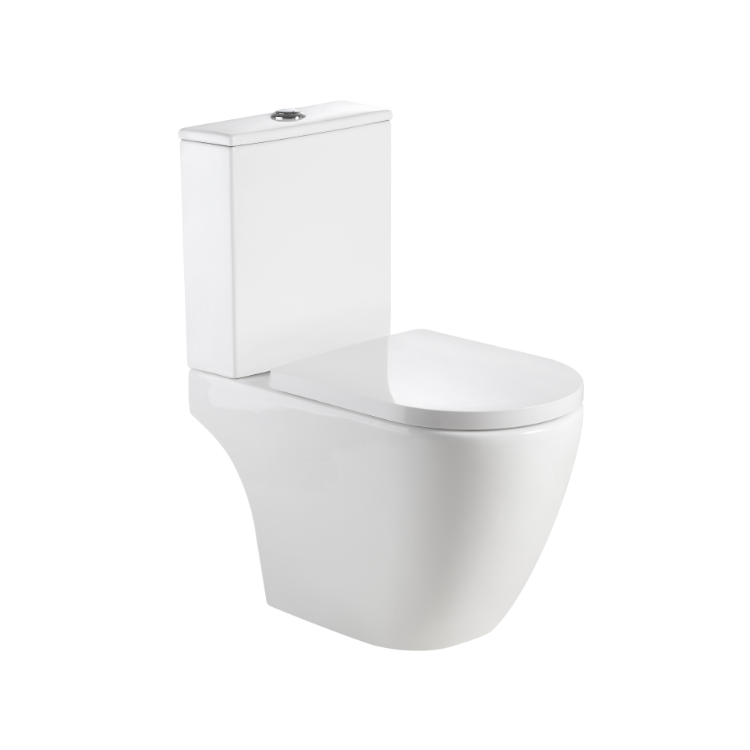 Vizio Close Coupled WC (VZ500101WT)