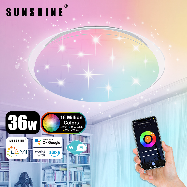[SCLC] LED WiFi智能吸頂燈 36W RGB彩光+CCT黃白光+可調光暗