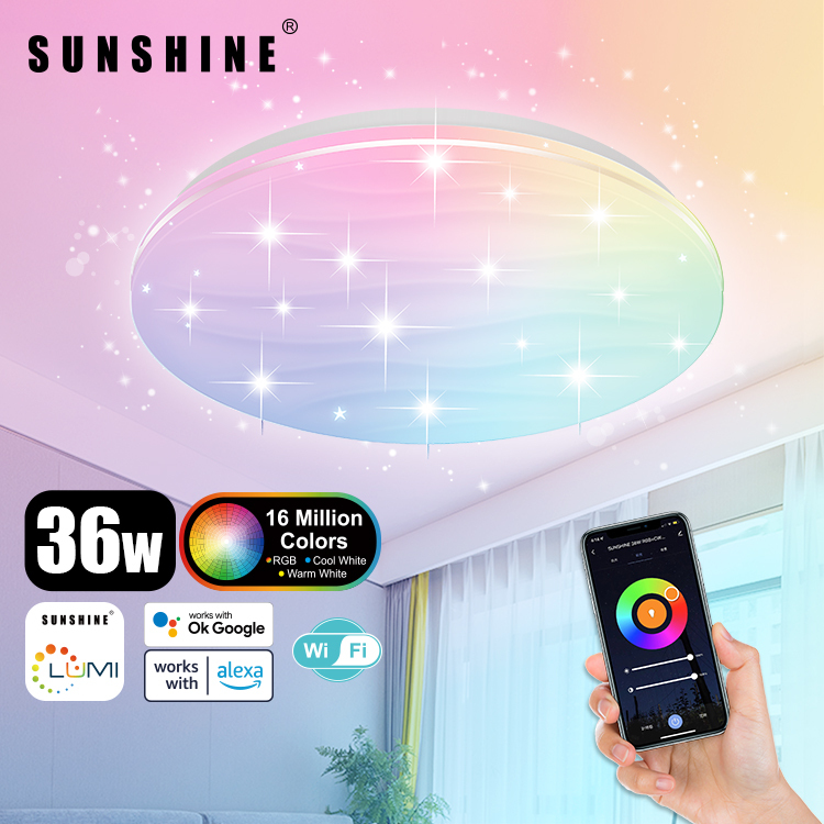 [SCLN] LED WiFi智能吸頂燈 36W RGB彩光+CCT黃白光+可調光暗