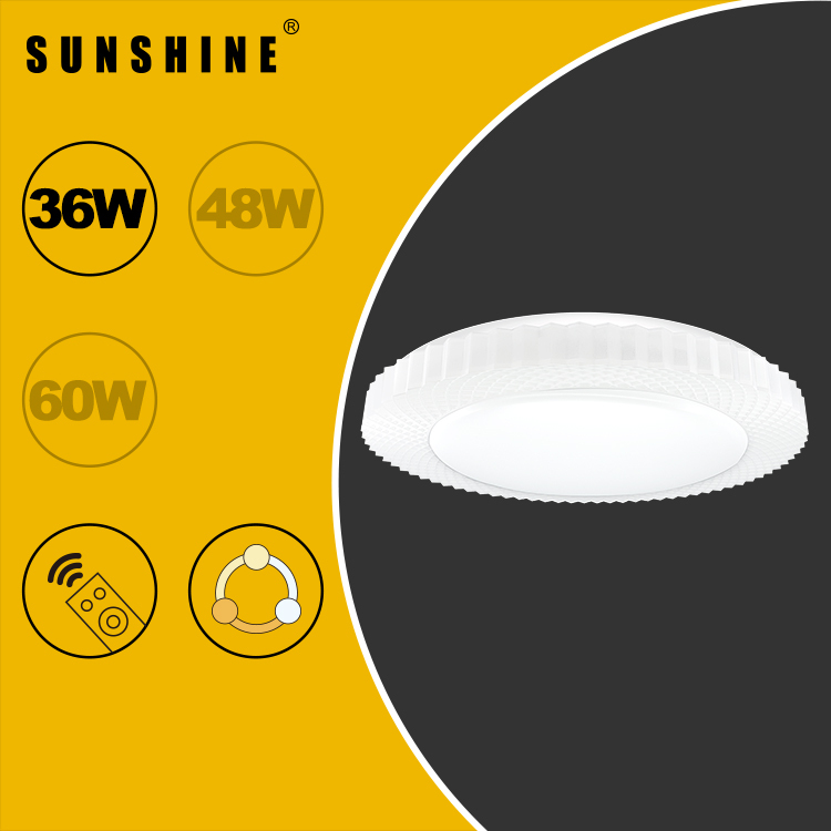 [CLY款] 天花吸頂燈 三色溫/遙控三色溫 36W/48W/60W