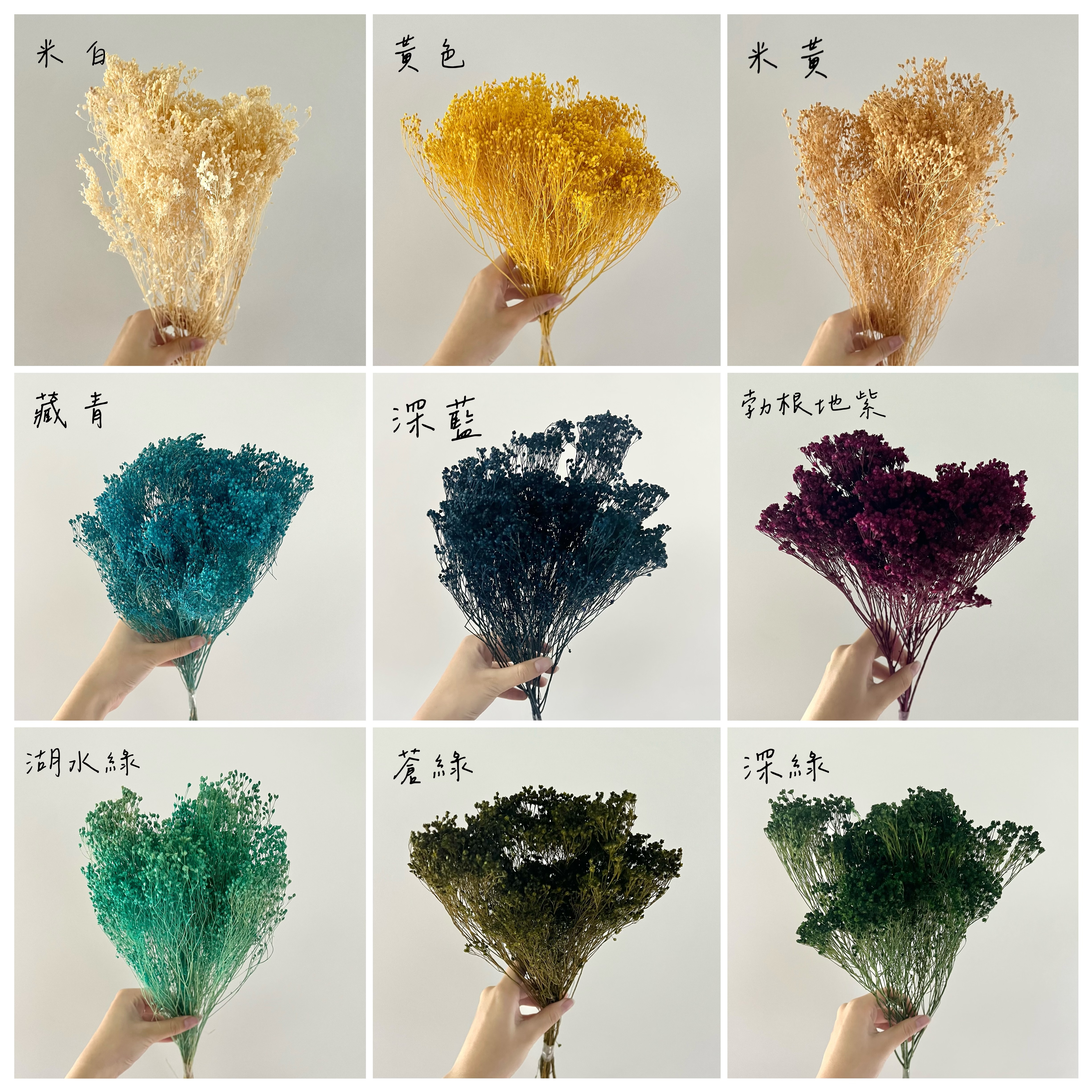 義大利乾燥木滿天星