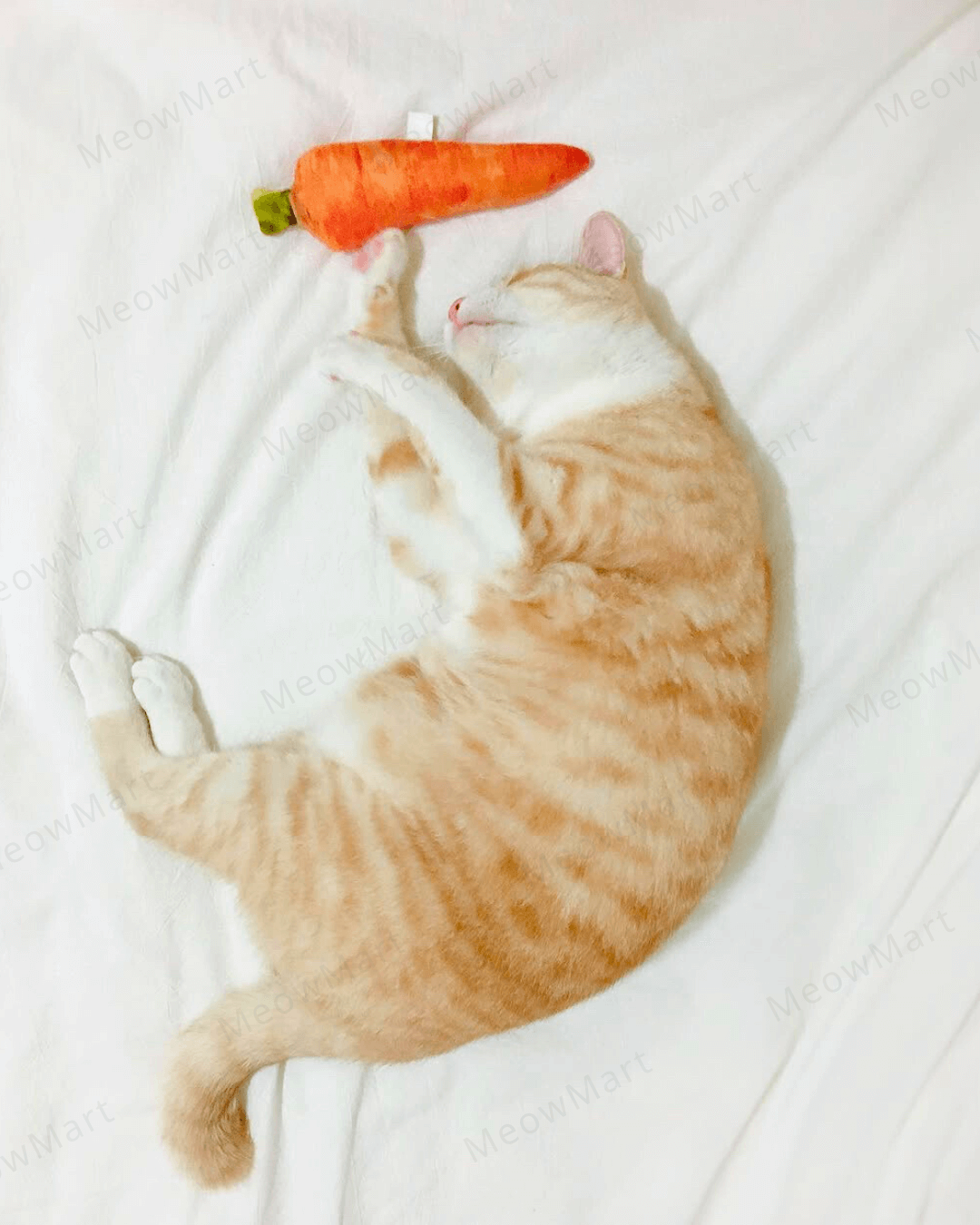 catwant 貓咪旺農場 貓草玩具