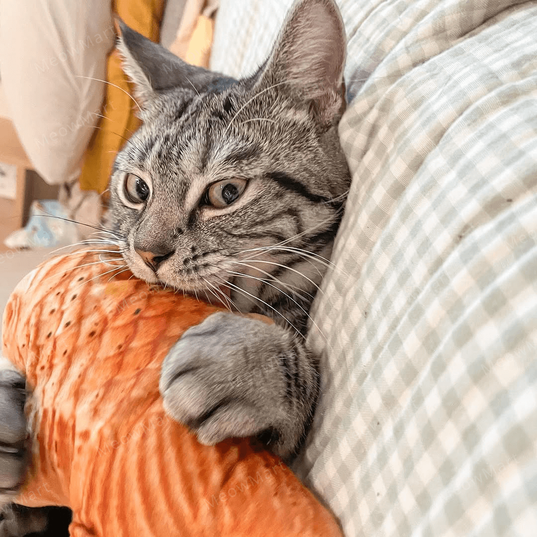 catwant 貓咪旺農場 貓草玩具