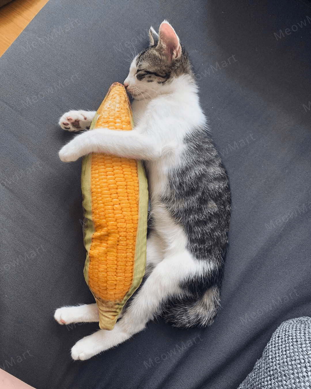 catwant 貓咪旺農場 貓草玩具