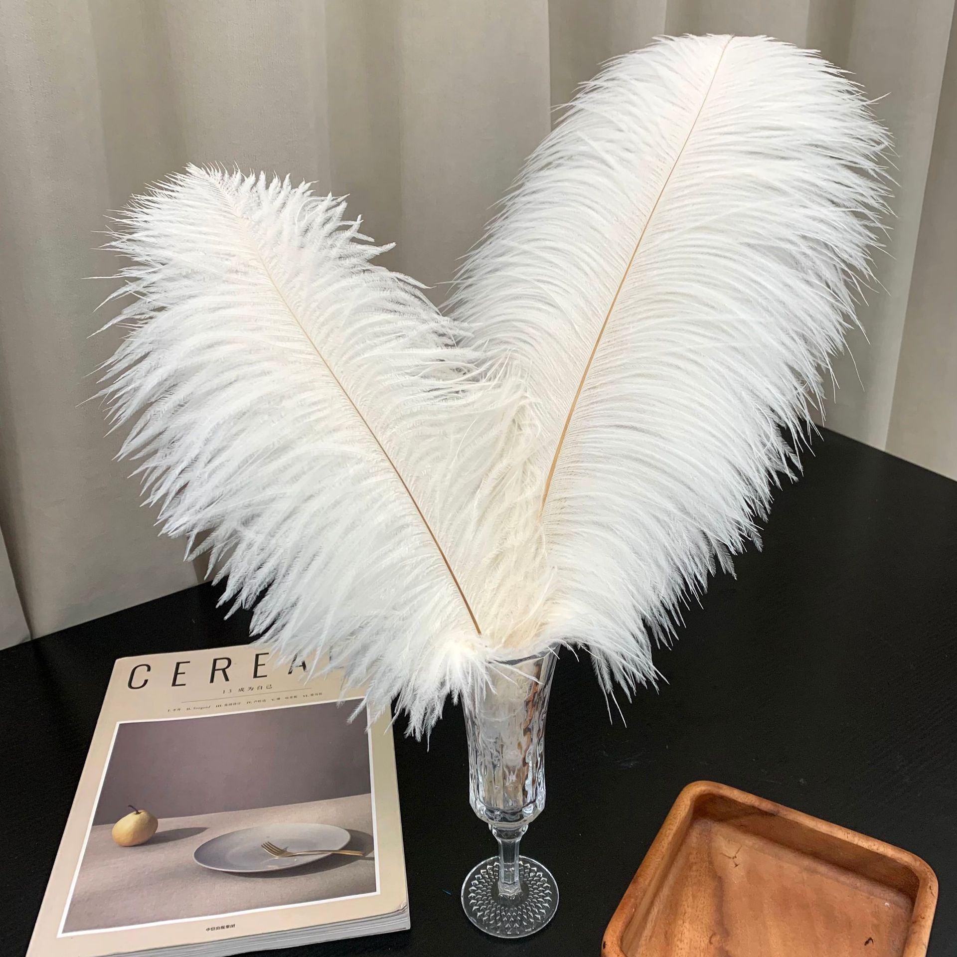 【台灣現貨速發】25公分扇羽毛 羽毛 駝鳥羽毛 鴕鳥毛