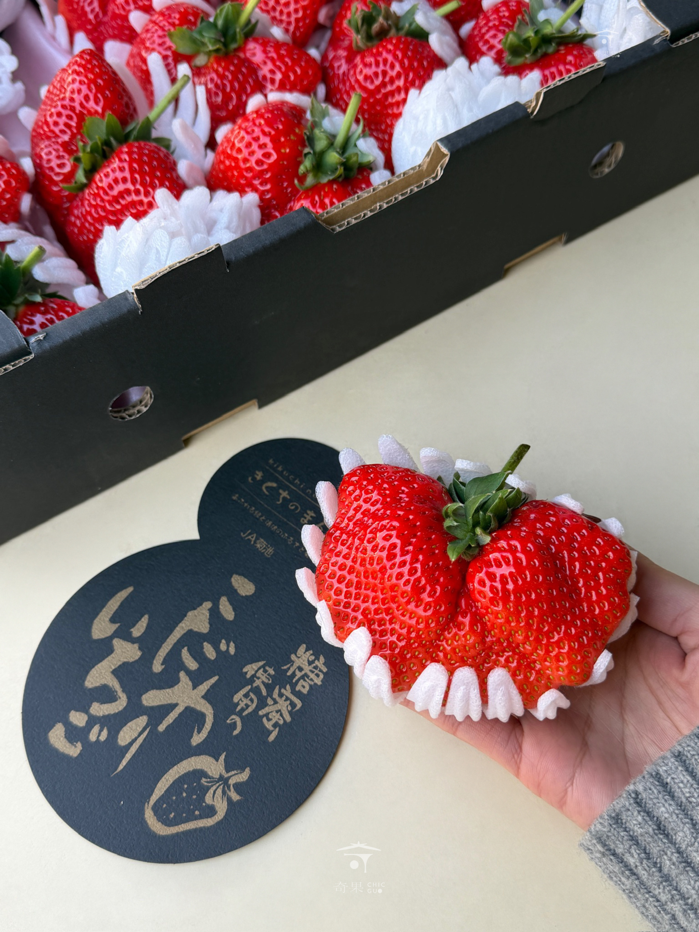 奇果｜日本菊池黑糖蜜