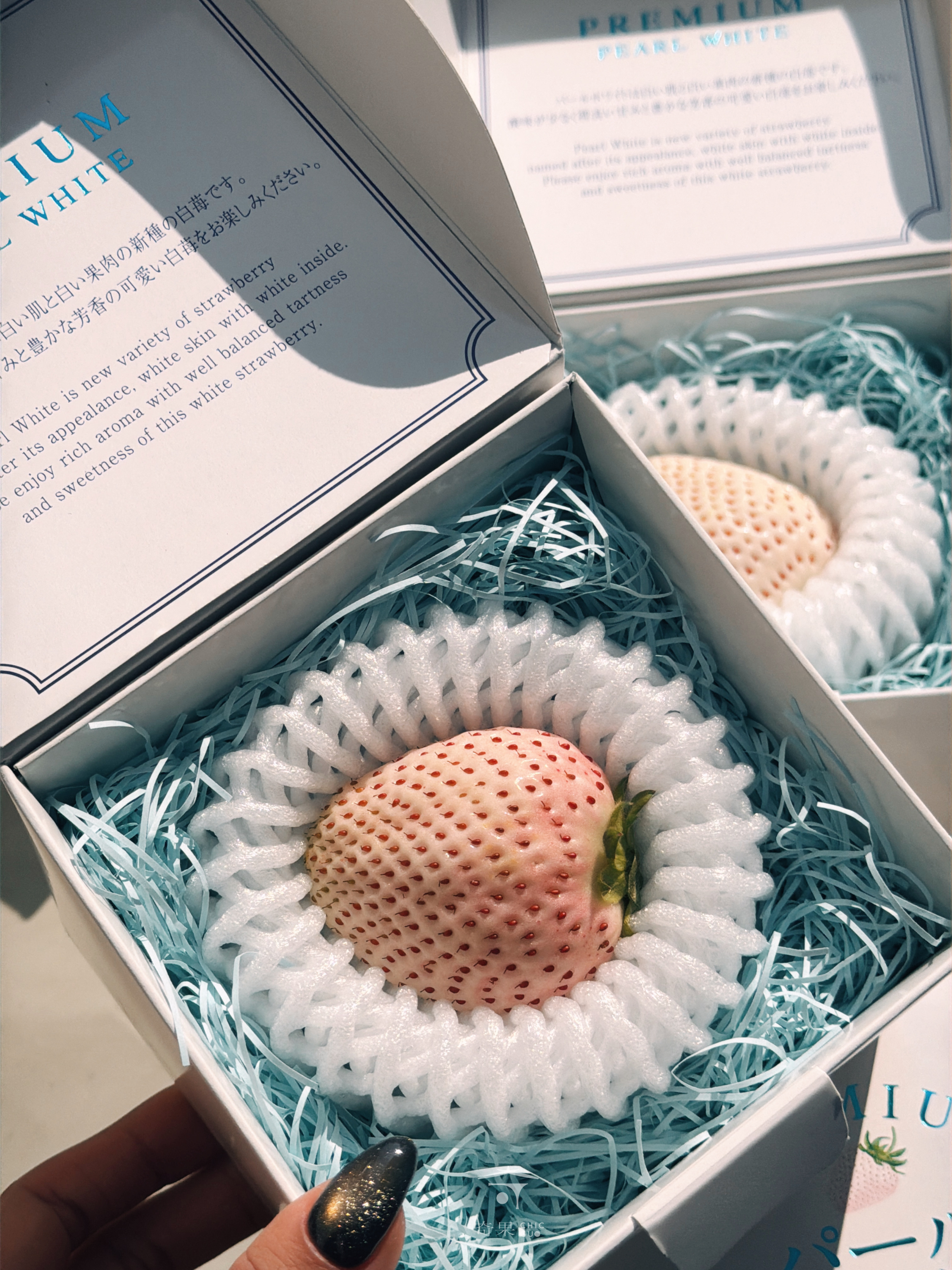奇果｜ 日本雪白珍果