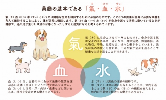 【漢方ごはん】Holistic Food care 《Japan Chinese Medicine Hospital designed》