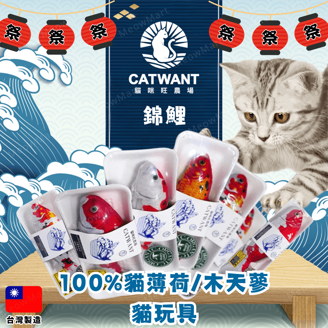 catwant 貓咪旺農場 錦鯉