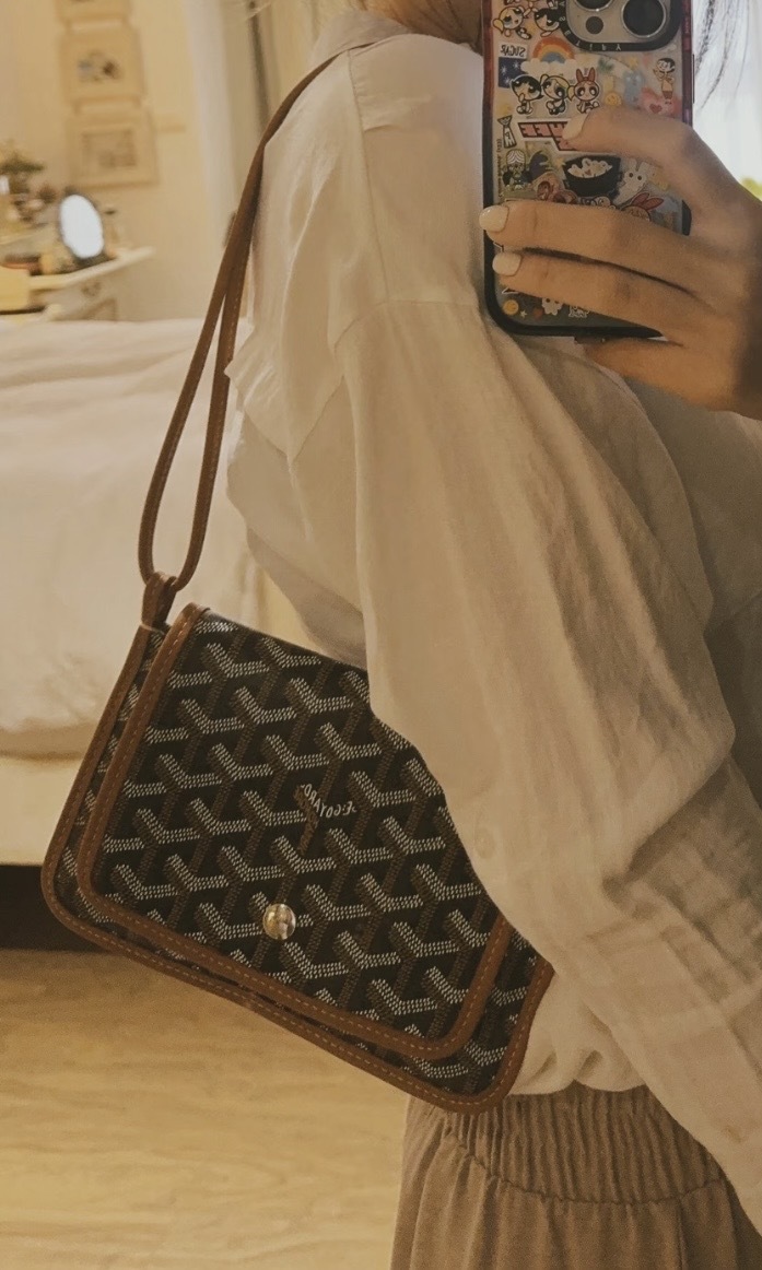 【3色入】Goyard Plumet pouch-wallet