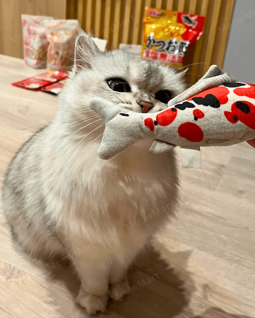 catwant 貓咪旺農場 錦鯉