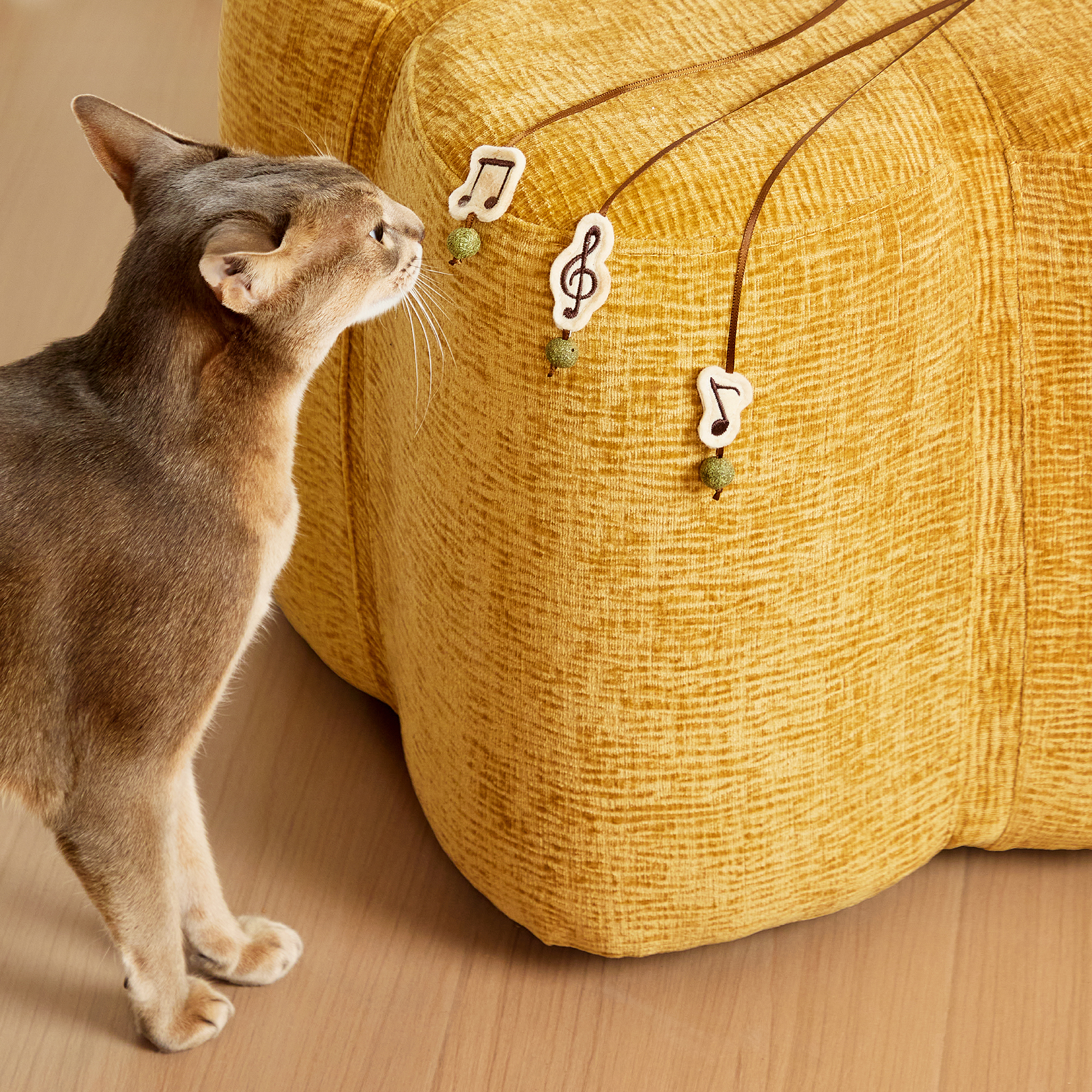 Slogan Origin Image 2