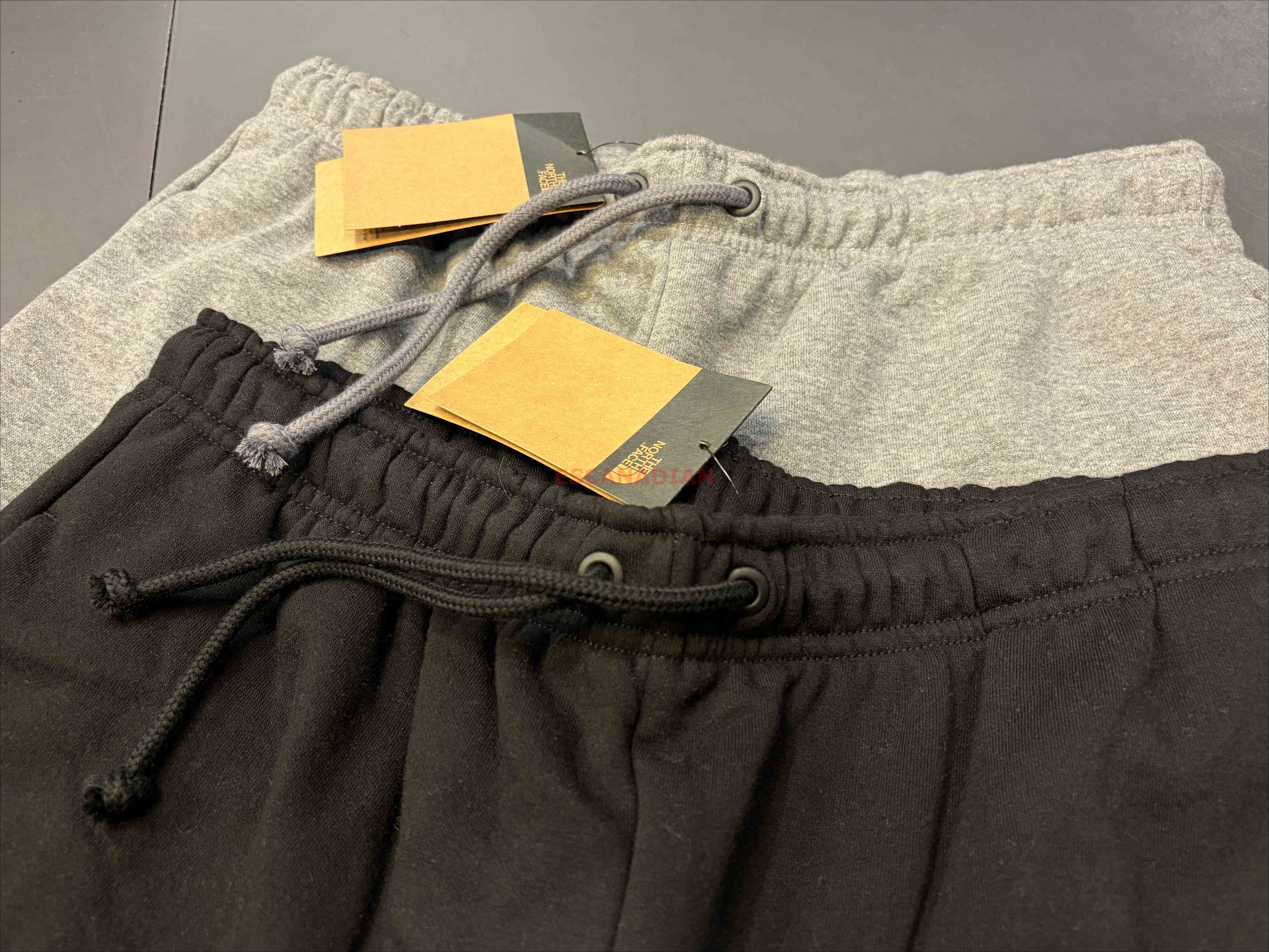 THE NORTH FACE 男大人 刺繡小標 刷毛 棉短褲 (2色)