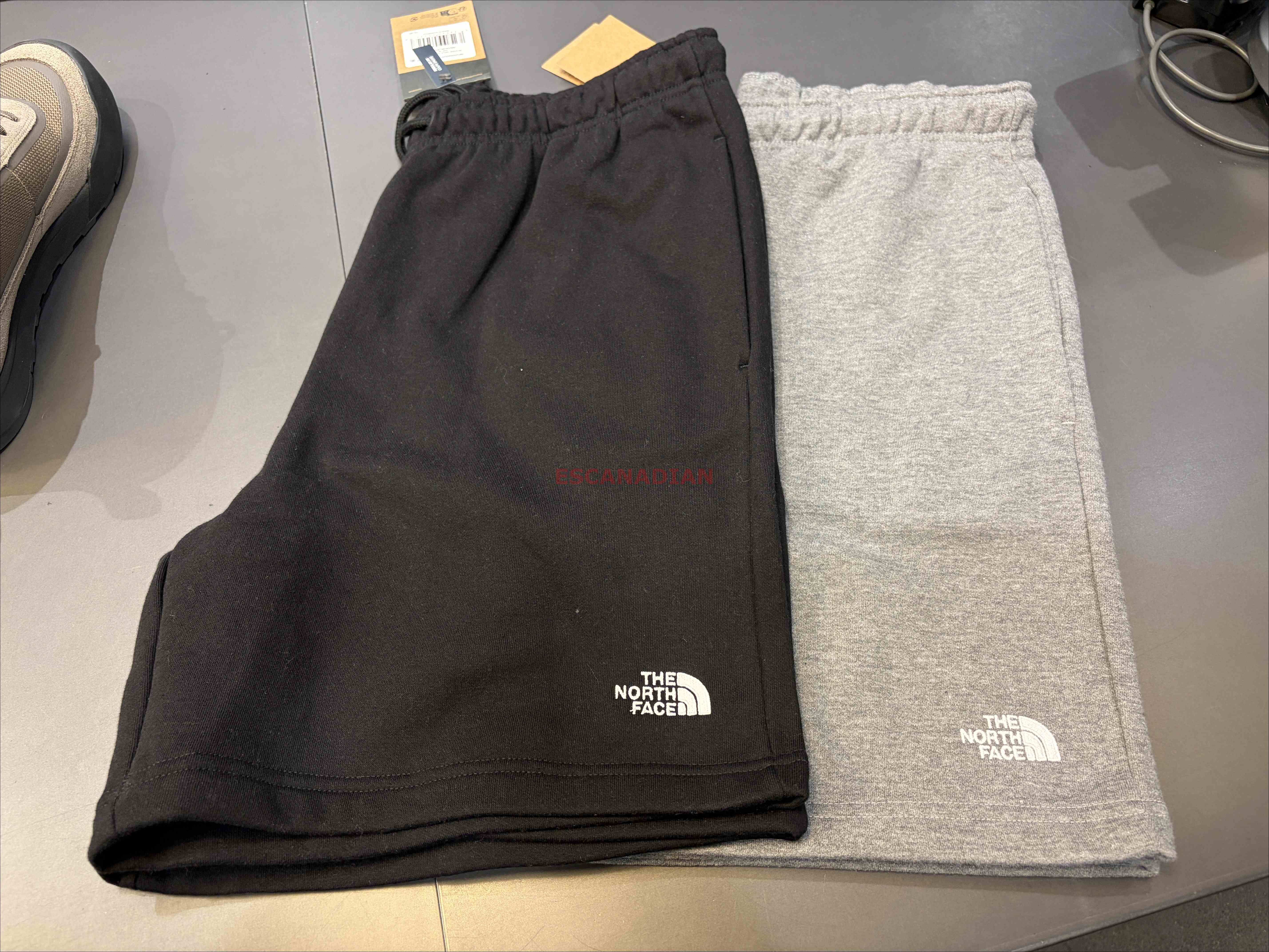 THE NORTH FACE 男大人 刺繡小標 刷毛 棉短褲 (2色)