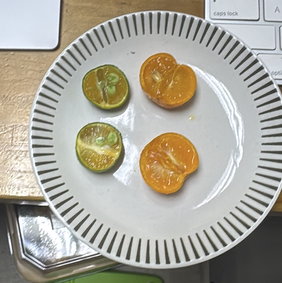 左圖為青柑桔 (四季桔)，有圖為金柑(在香港，這個又叫龍膽)