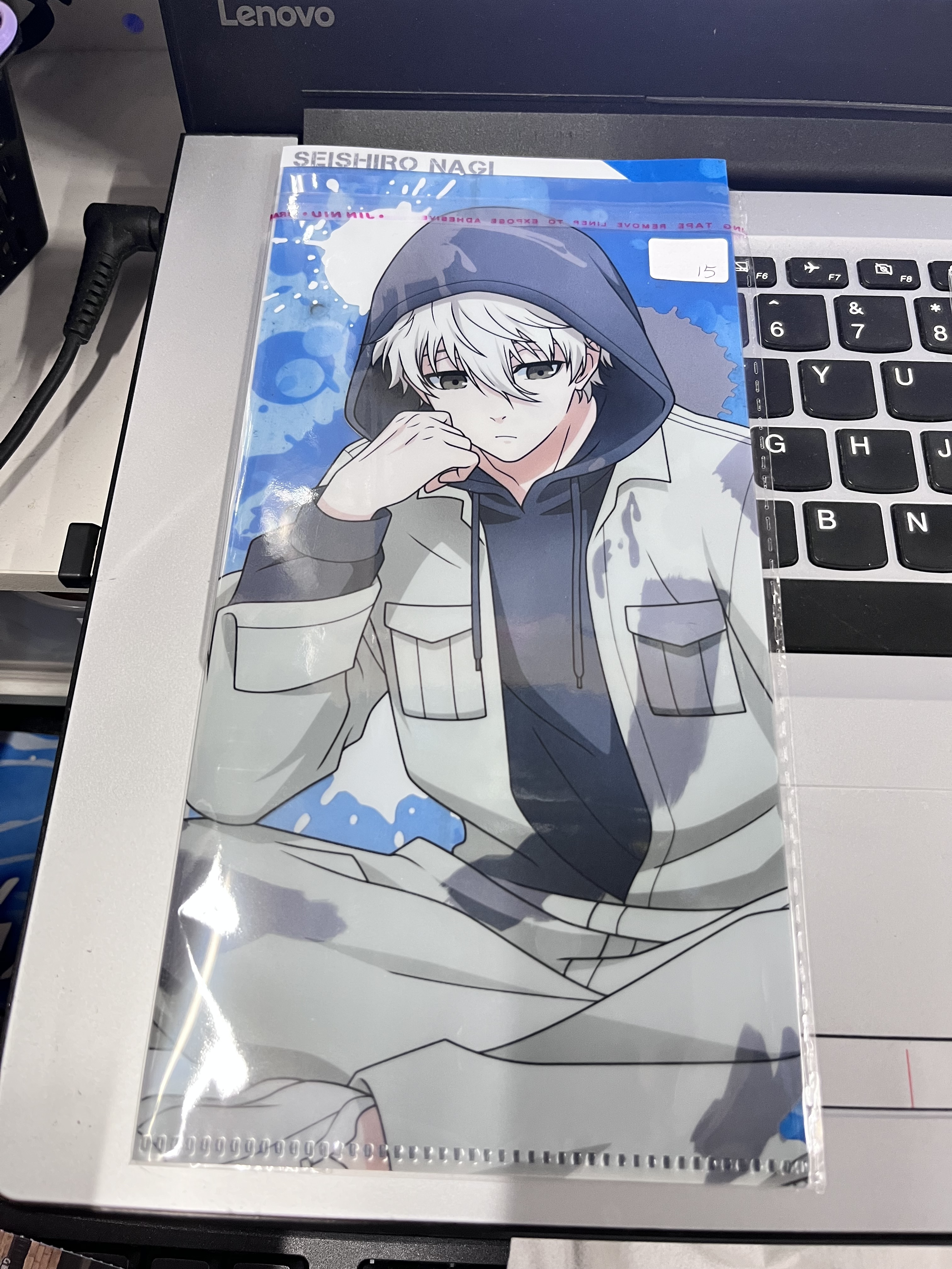 BlueLock 凪誠士郎 MINI FILE#359