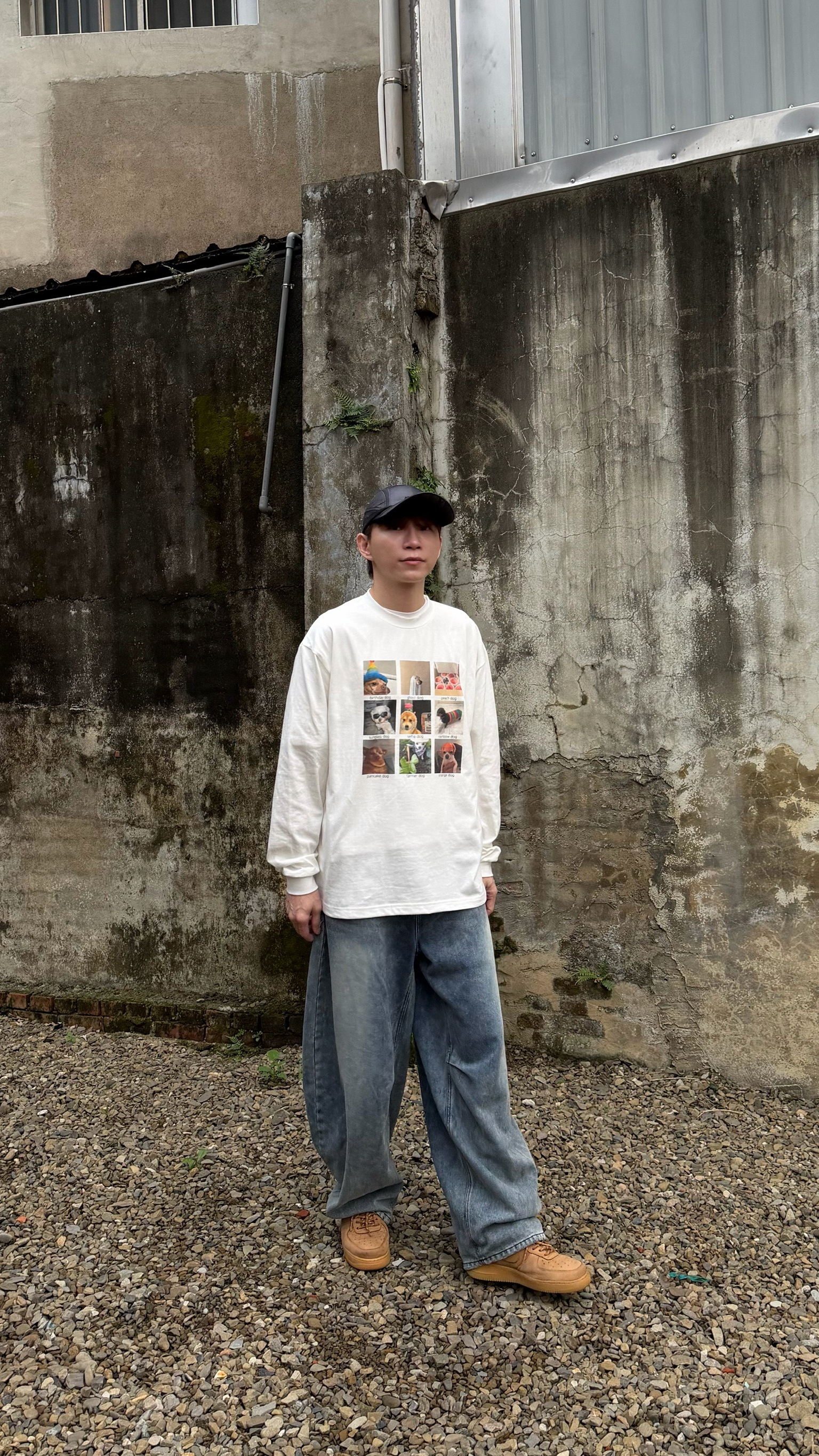 貓/狗 迷因薄長T shirt